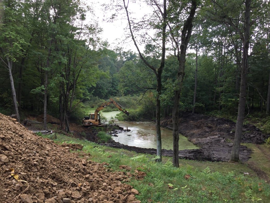 Orion, Michigan Dead pond restoration Michigan (2)