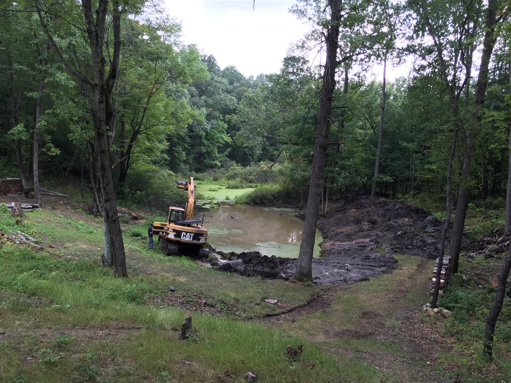 Orion, Michigan Dead pond restoration Michigan (3)