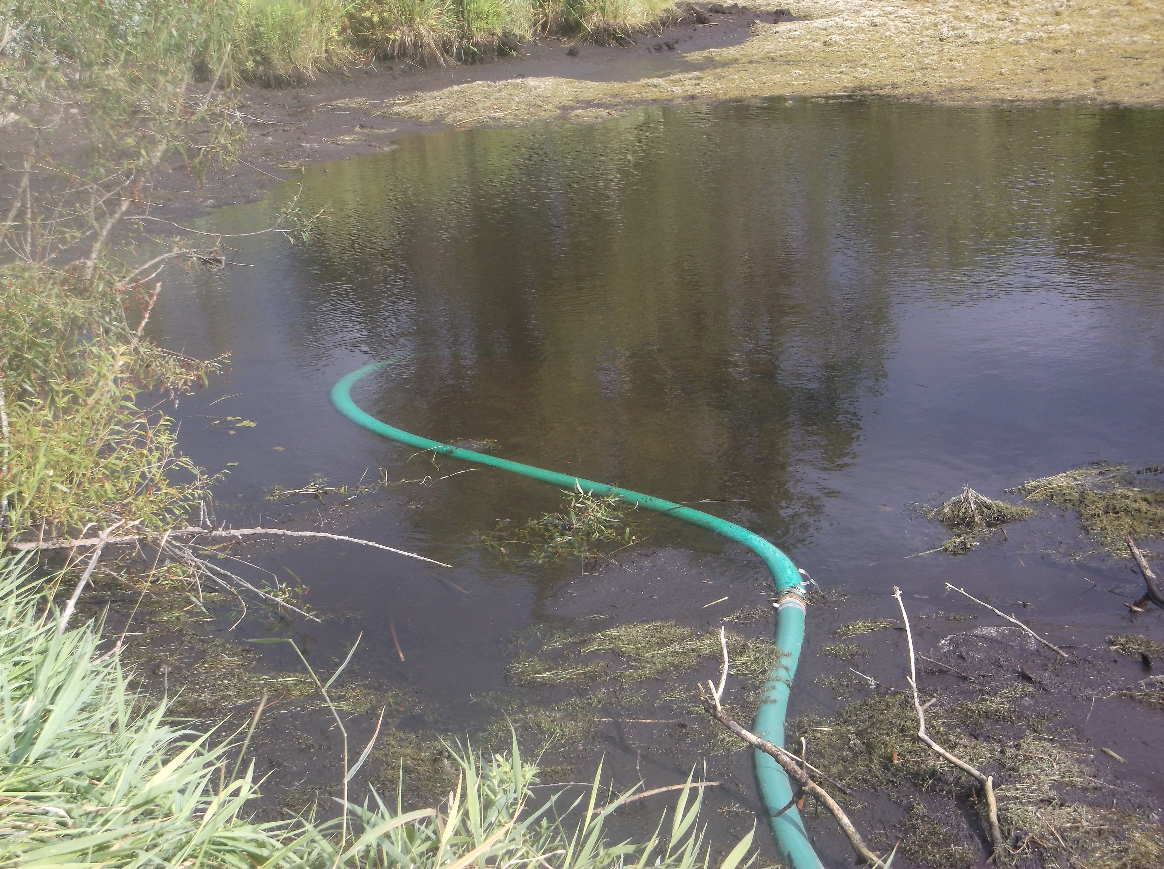 Pinckney, Michigan Pond Renovation Windmill Install (135)