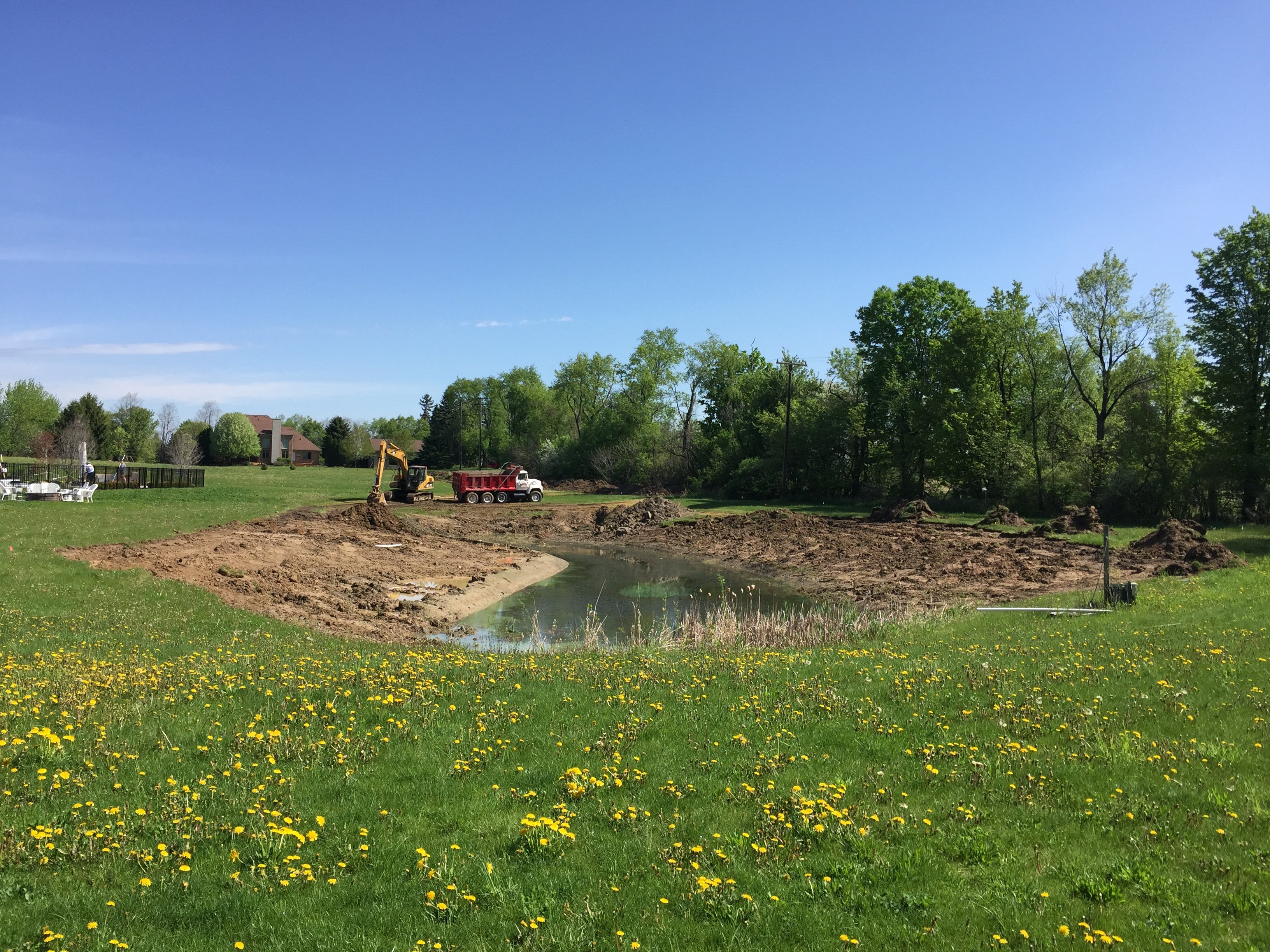 Plymouth, Michigan Aquatic weed control (1)