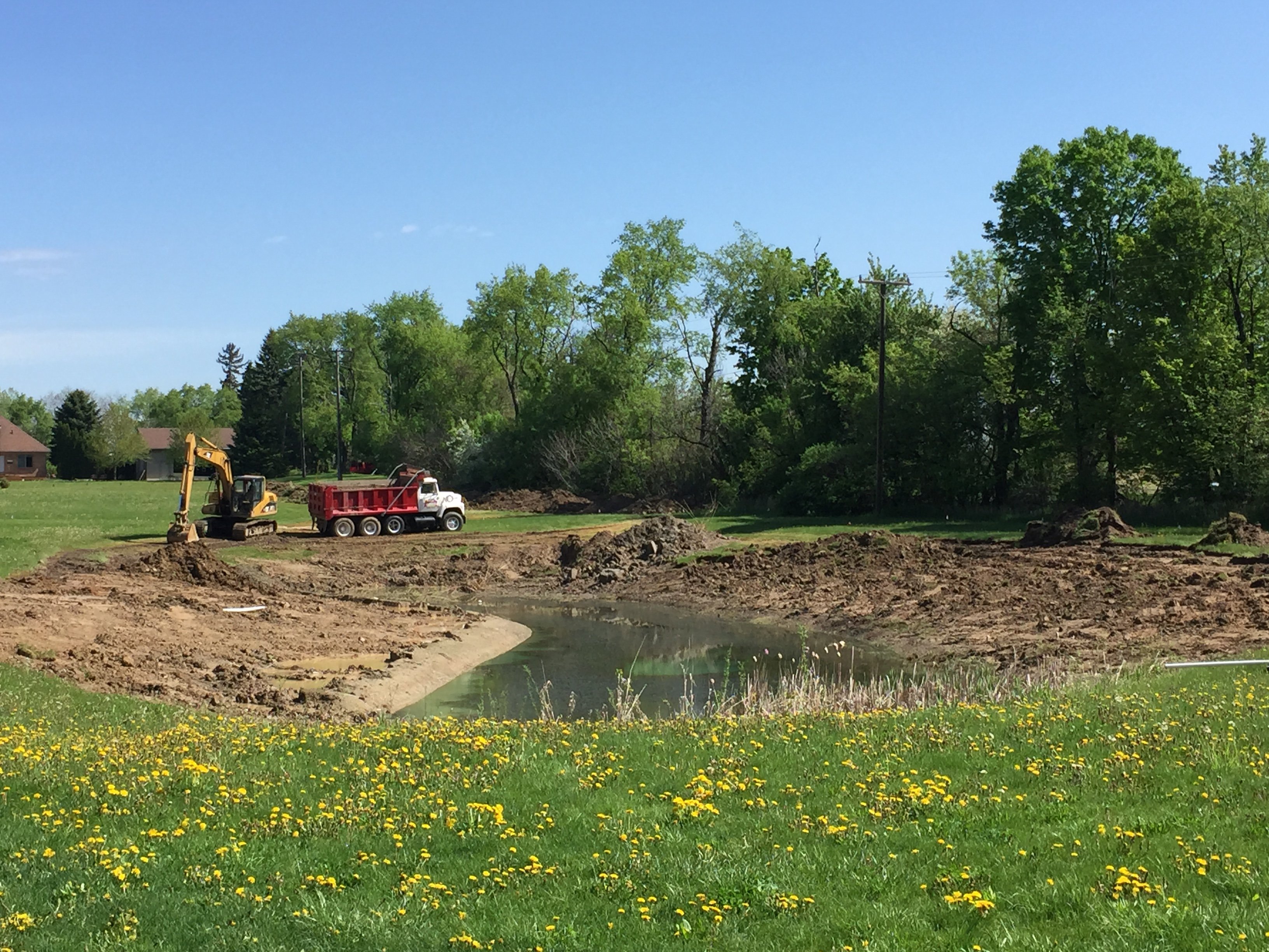 Plymouth, Michigan Aquatic weed control (2)