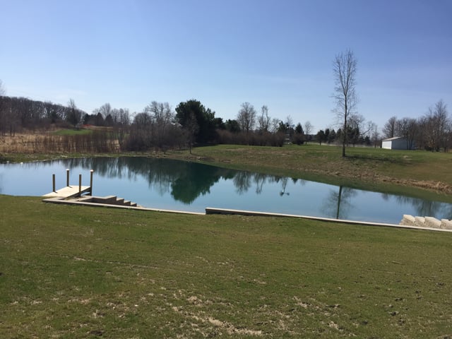 Pond_Problems_Howell_Michigan_windmill_beach_21.jpg