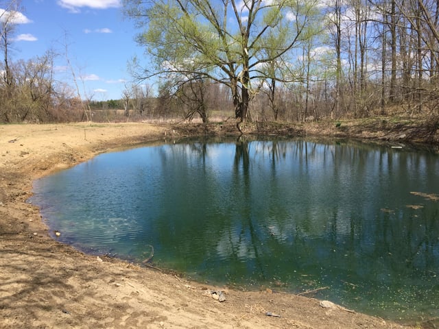 Pond_silted_in_dug_out_Metamora_Michigan_20.jpg