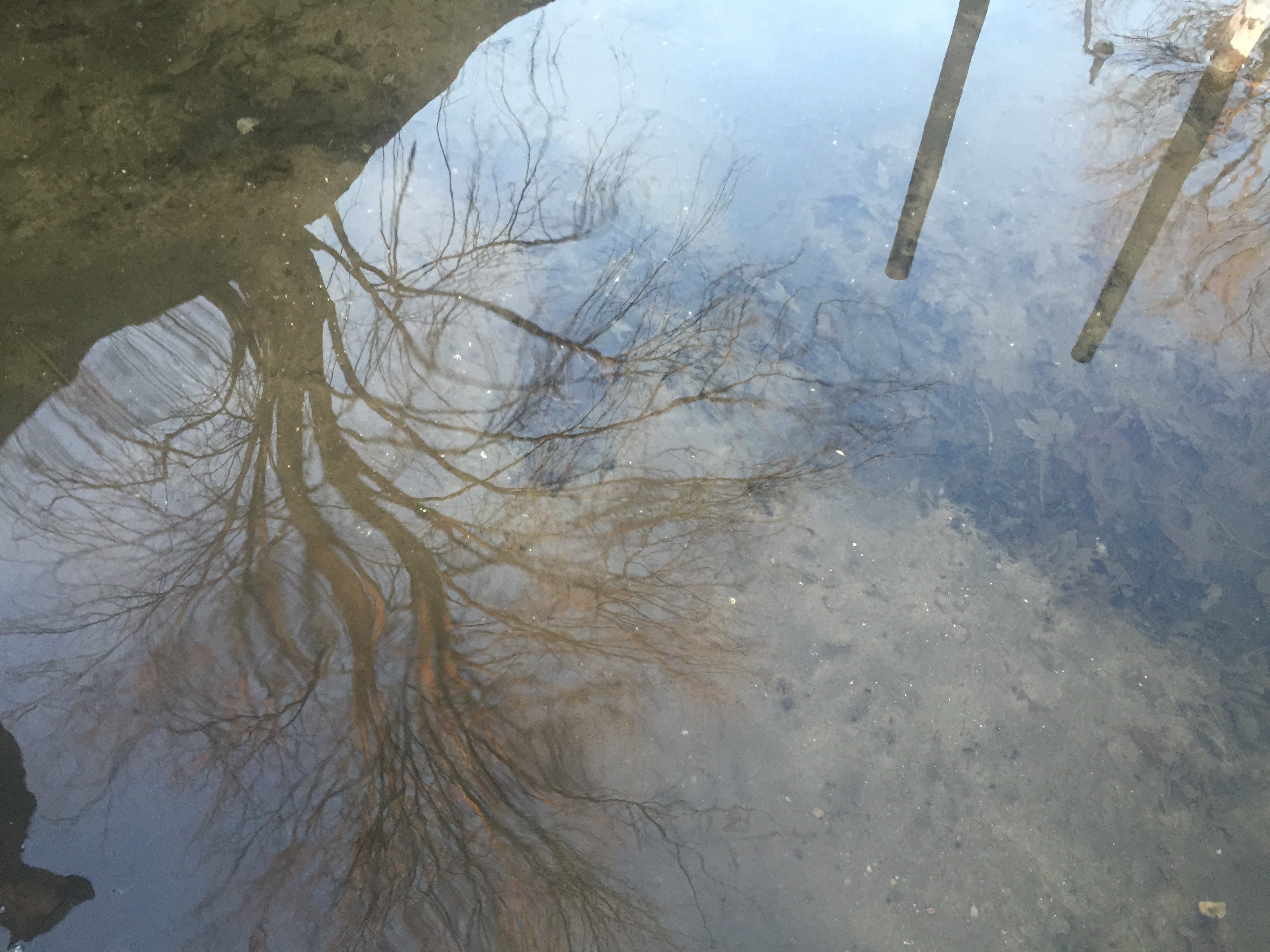 Waterford, Michigan  (5)