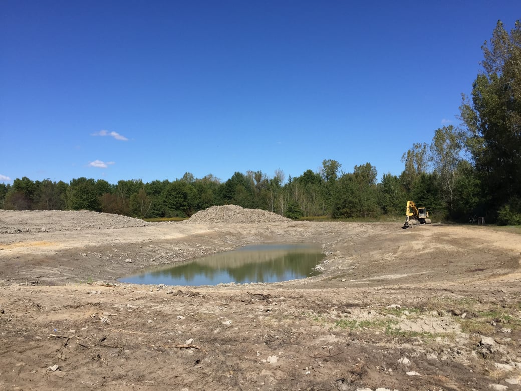 Wyoming, Michigan made pond bigger (Montrose) (N) (24)
