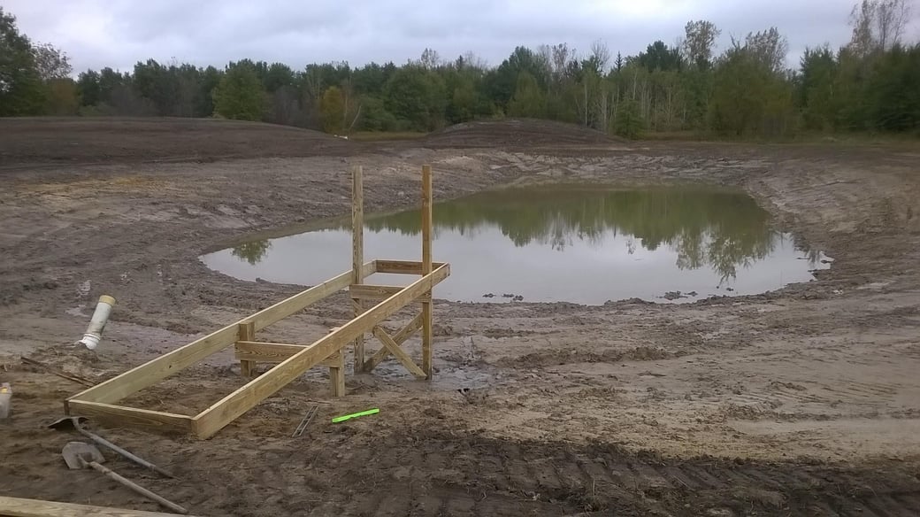 Wyoming, Michigan made pond bigger (Montrose) (N) (28)
