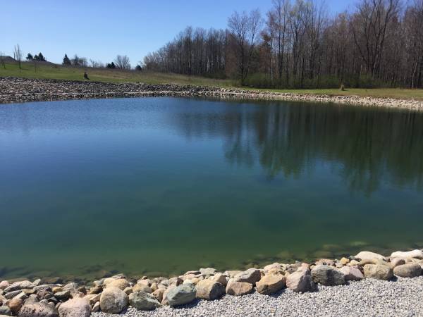 pond11.jpg pond11.jpg
