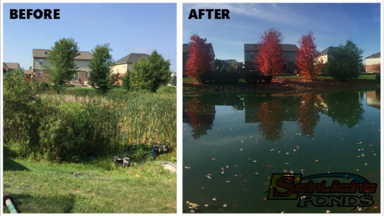 Pond Digging Michigan