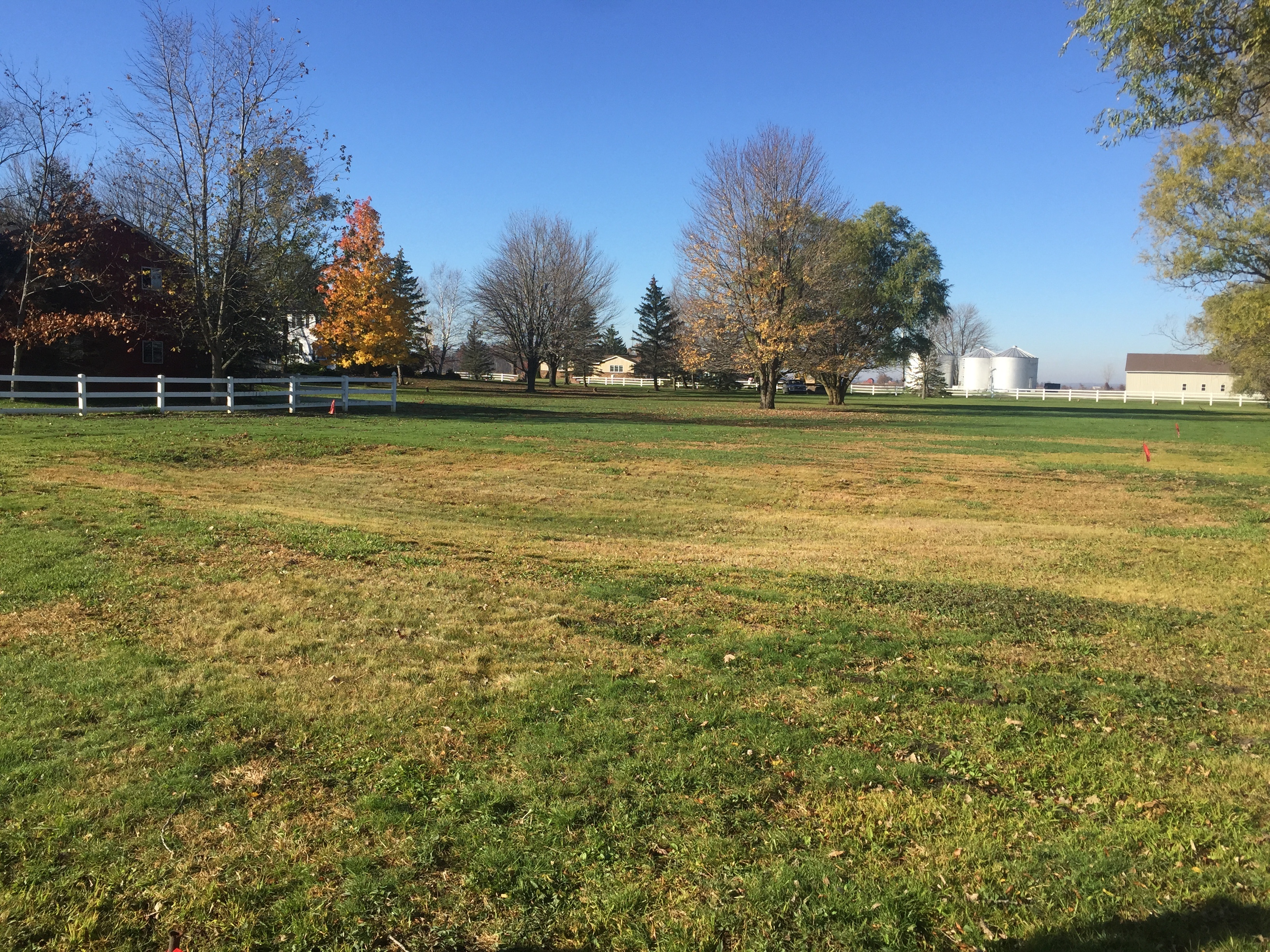 Britton, MI new pond (129).jpg