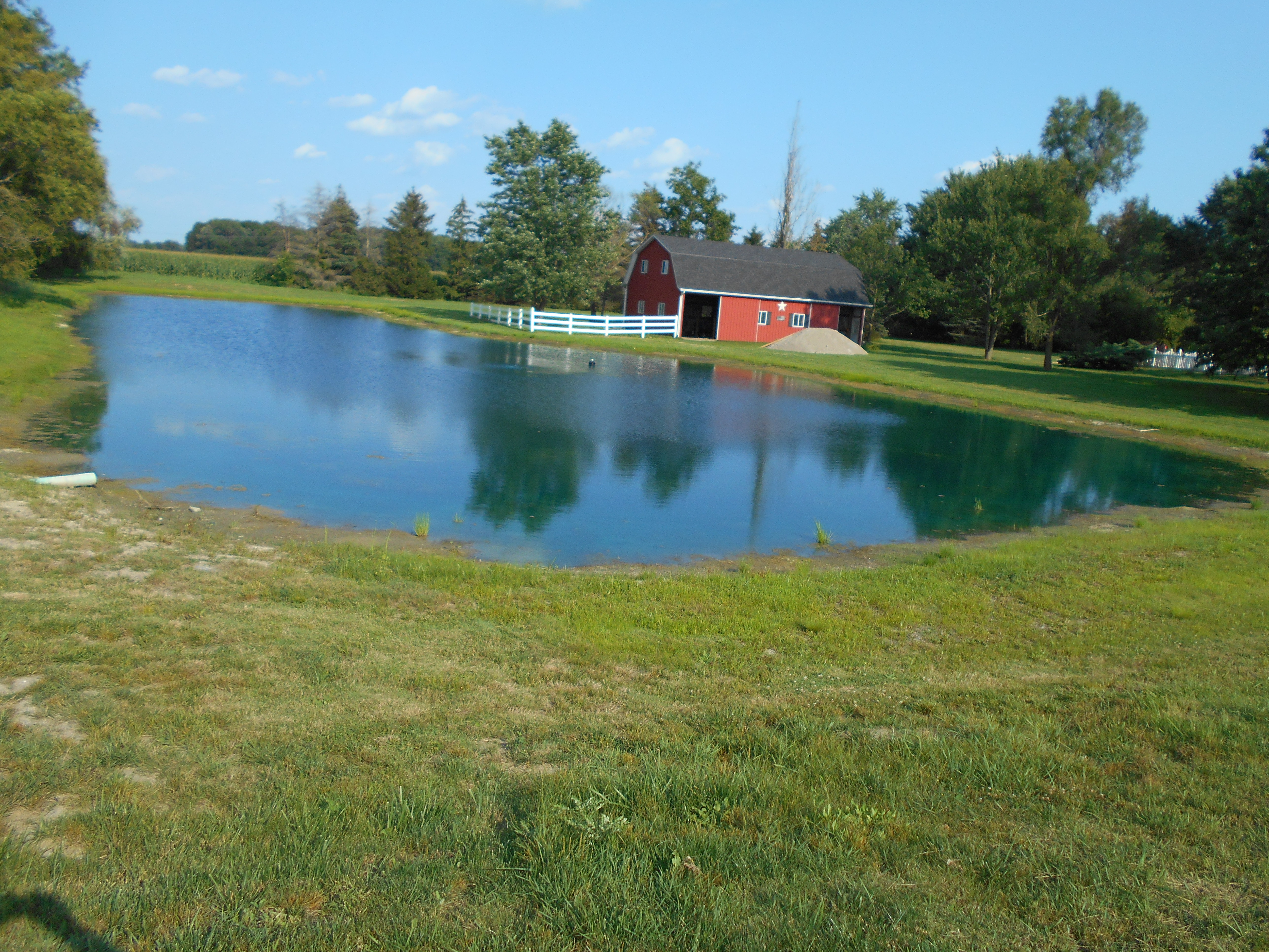 Britton, MI new pond (164).jpg