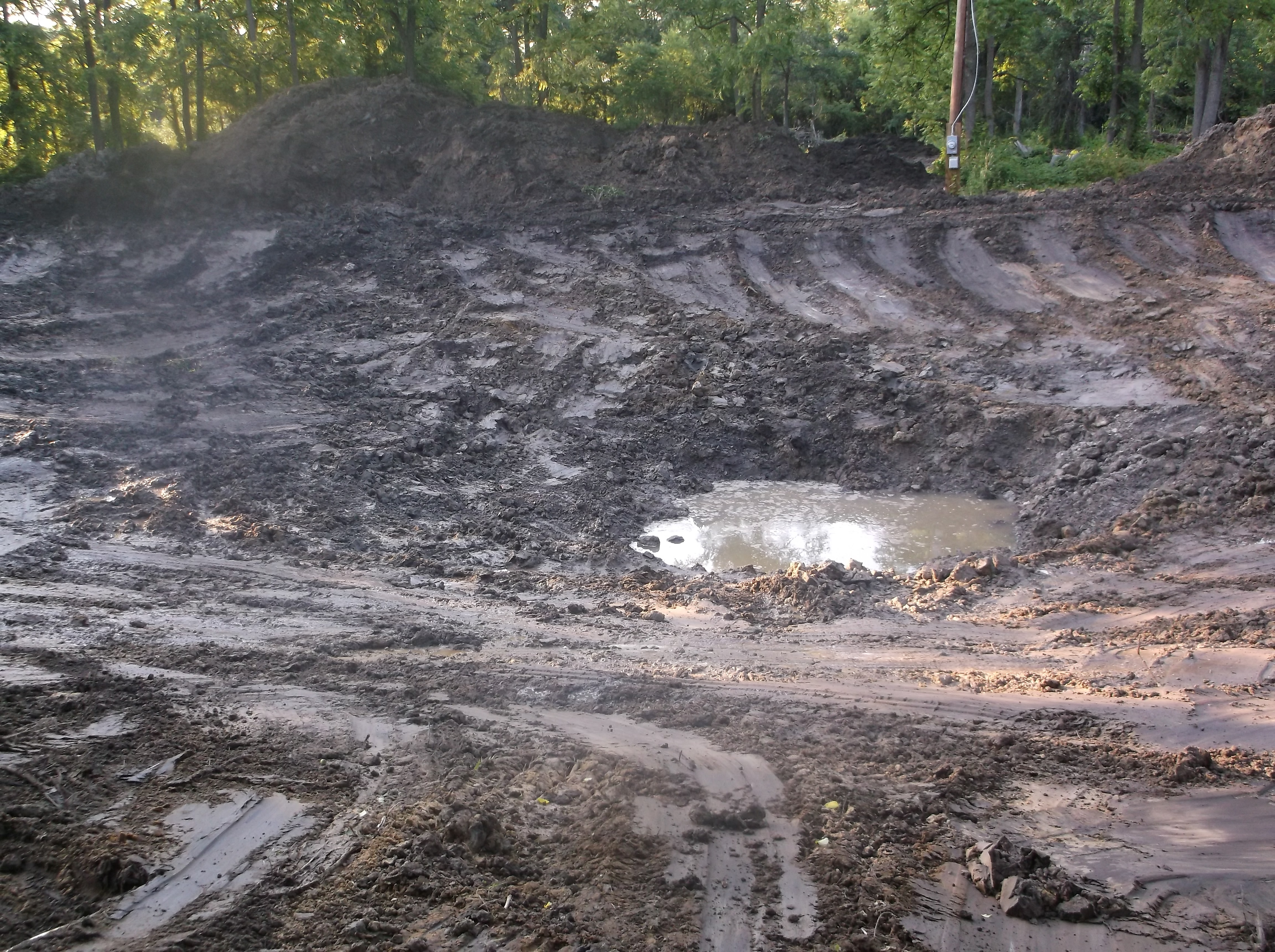 Brownstown, New pond dig (47).jpg