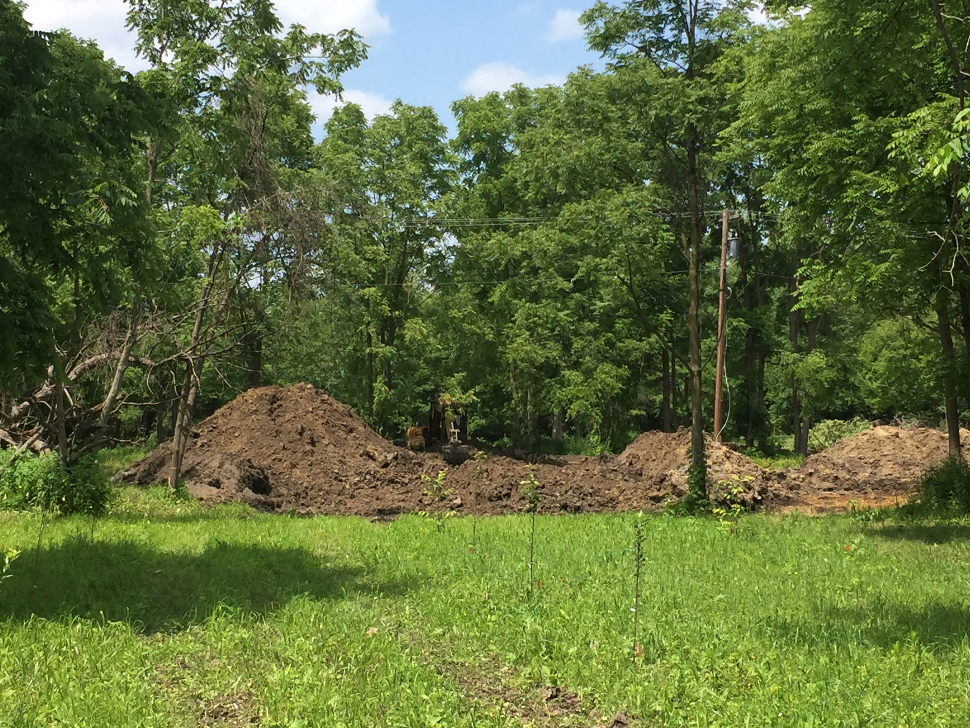 Brownstown, New pond dig (7).jpg