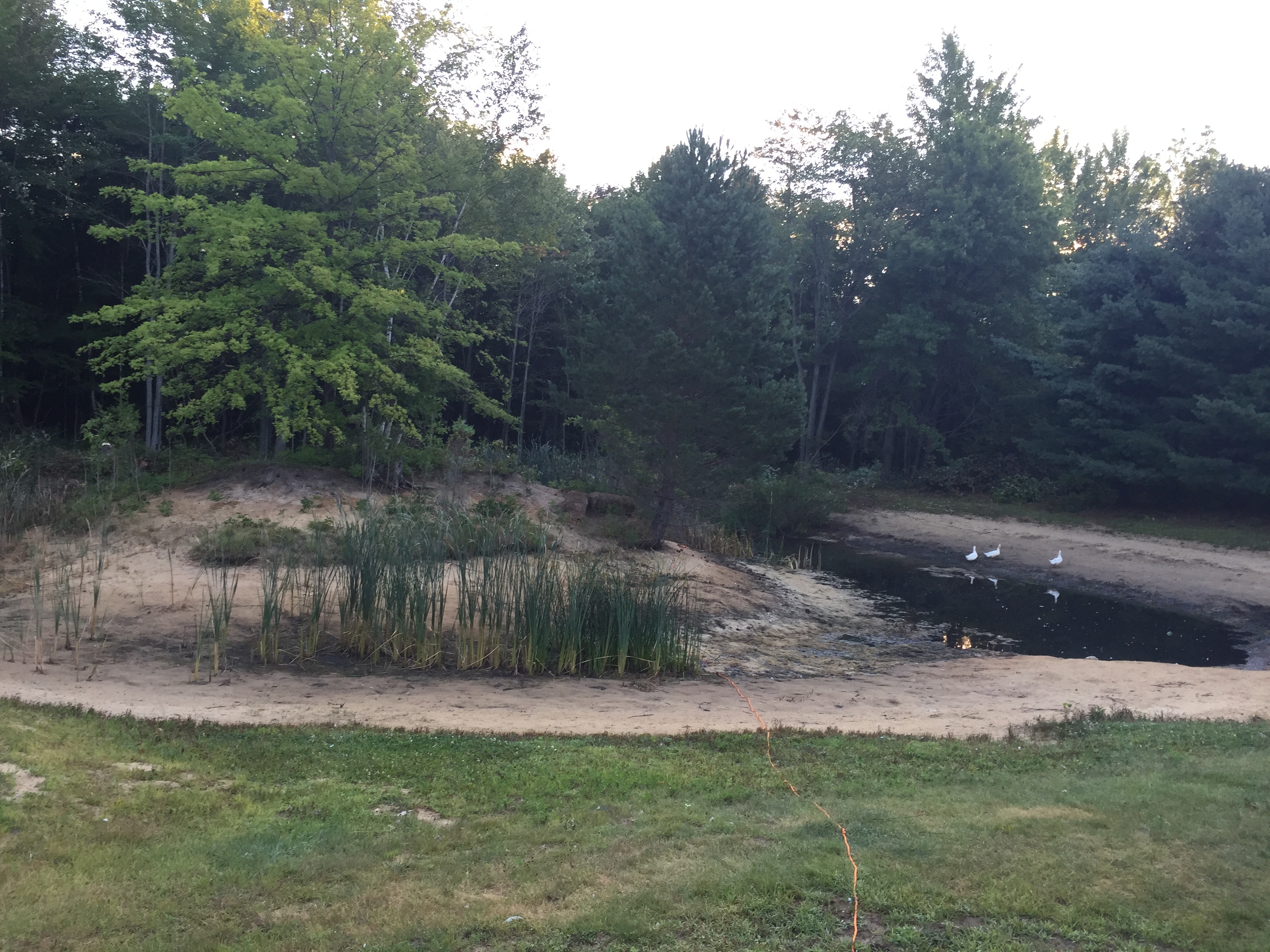 Chesaning, MI Pond clean-out (22).jpg