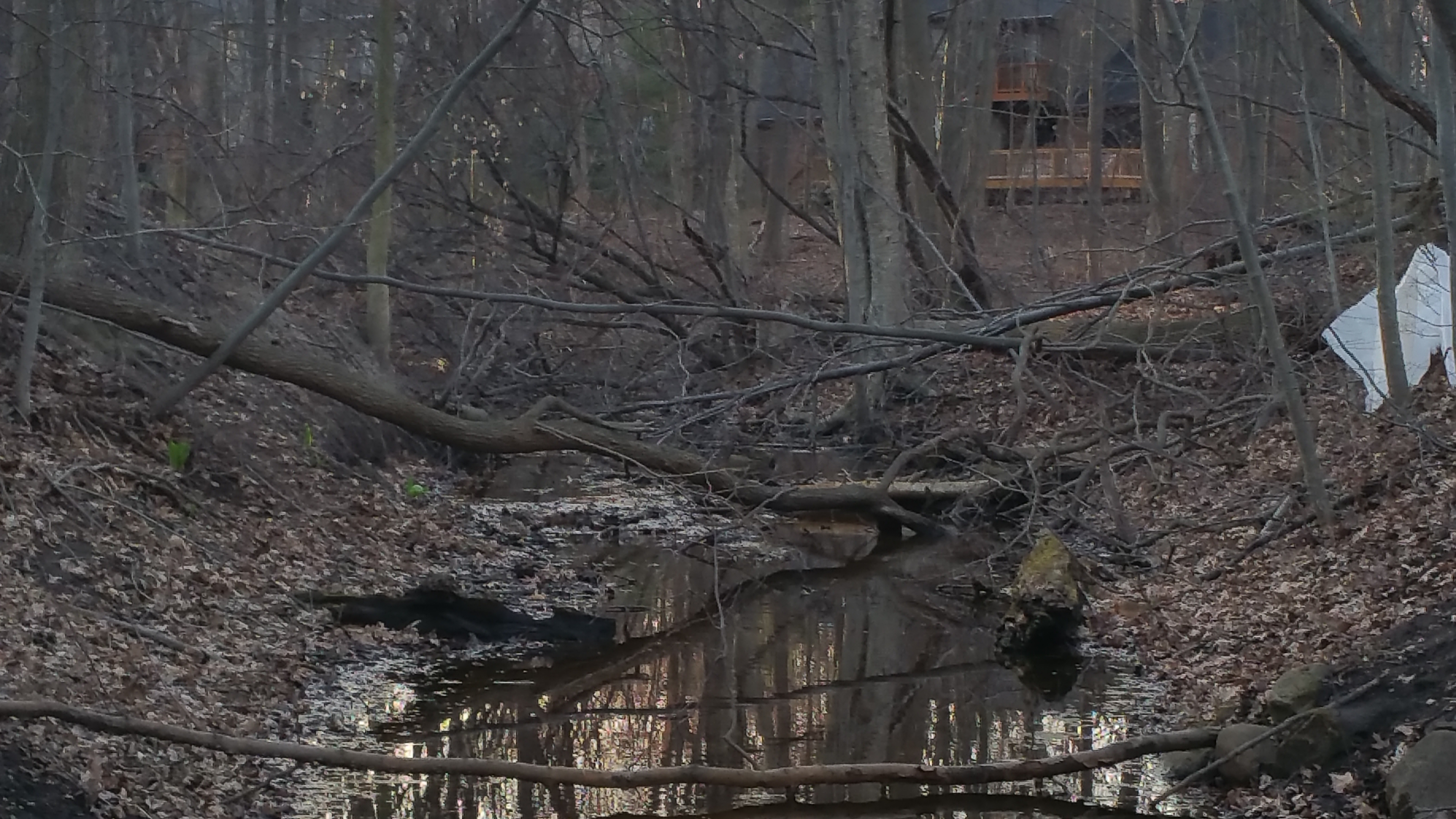 Commerce, MI canal dredge (17).jpg