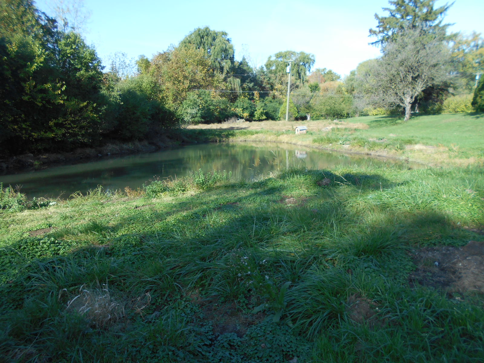 Saline, MI Clean Out
