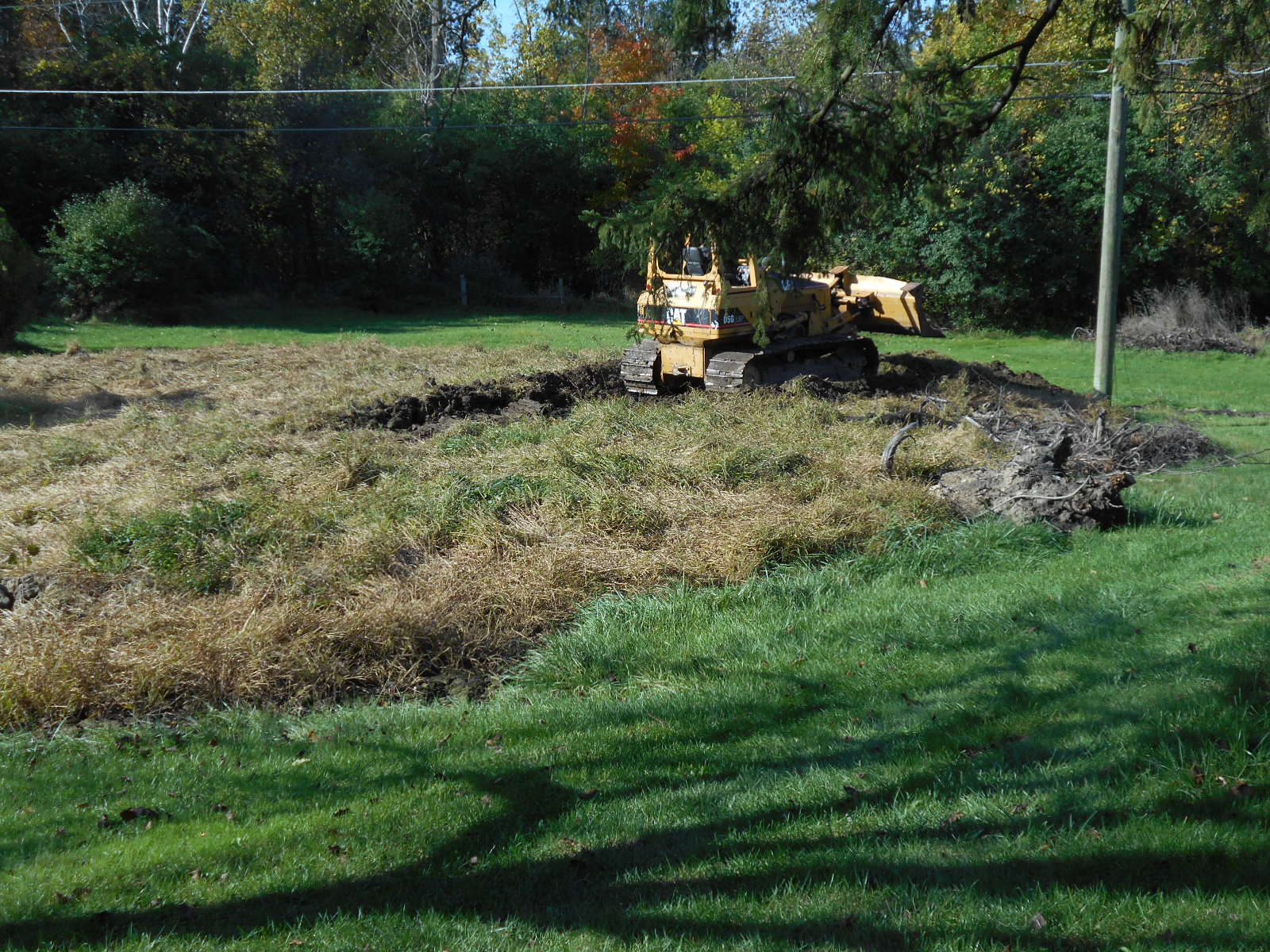 Saline, MI Clean Out