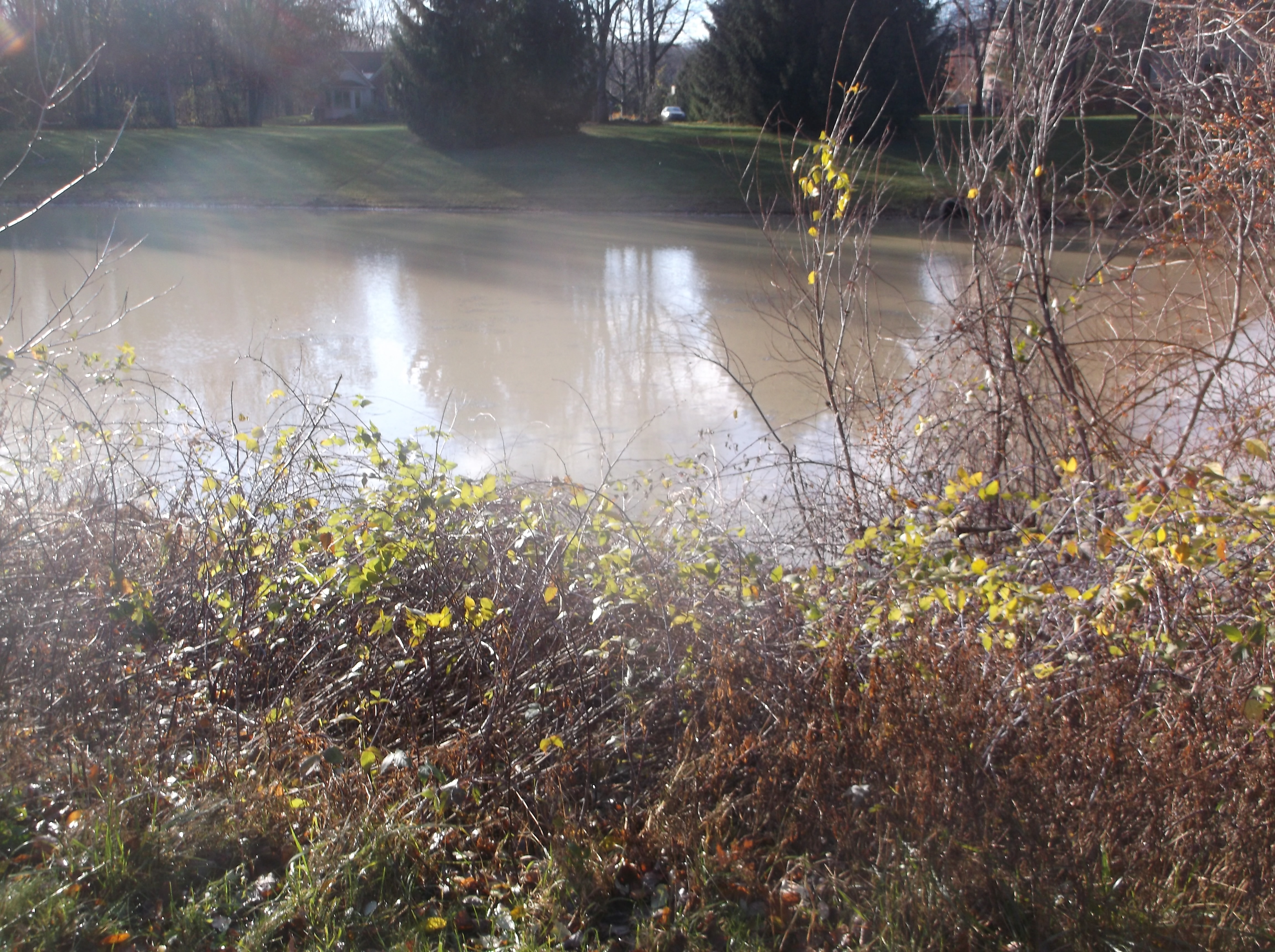 Dave HOA pond berm leak fix (1).jpg