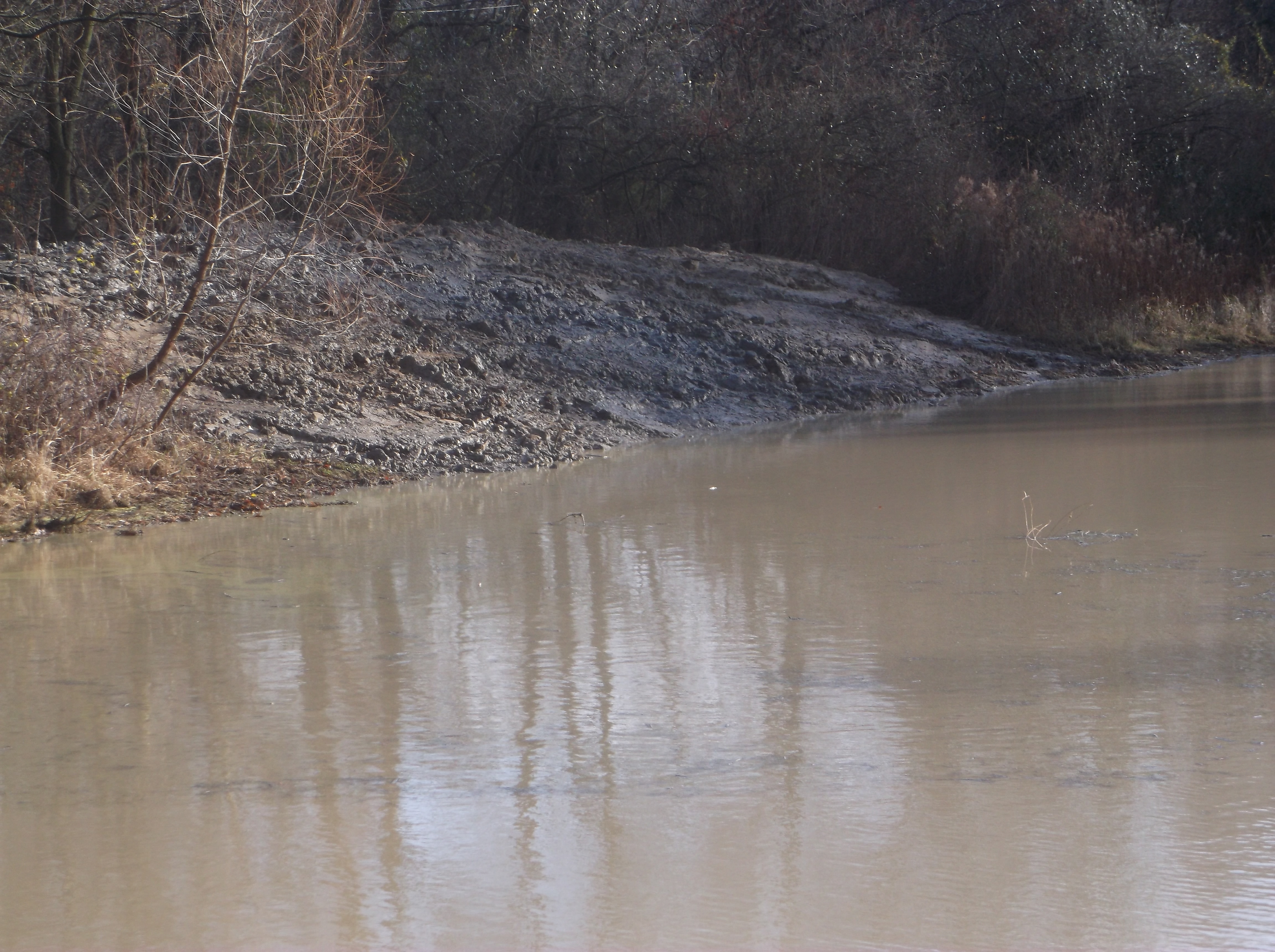 Dave HOA pond berm leak fix (8).jpg