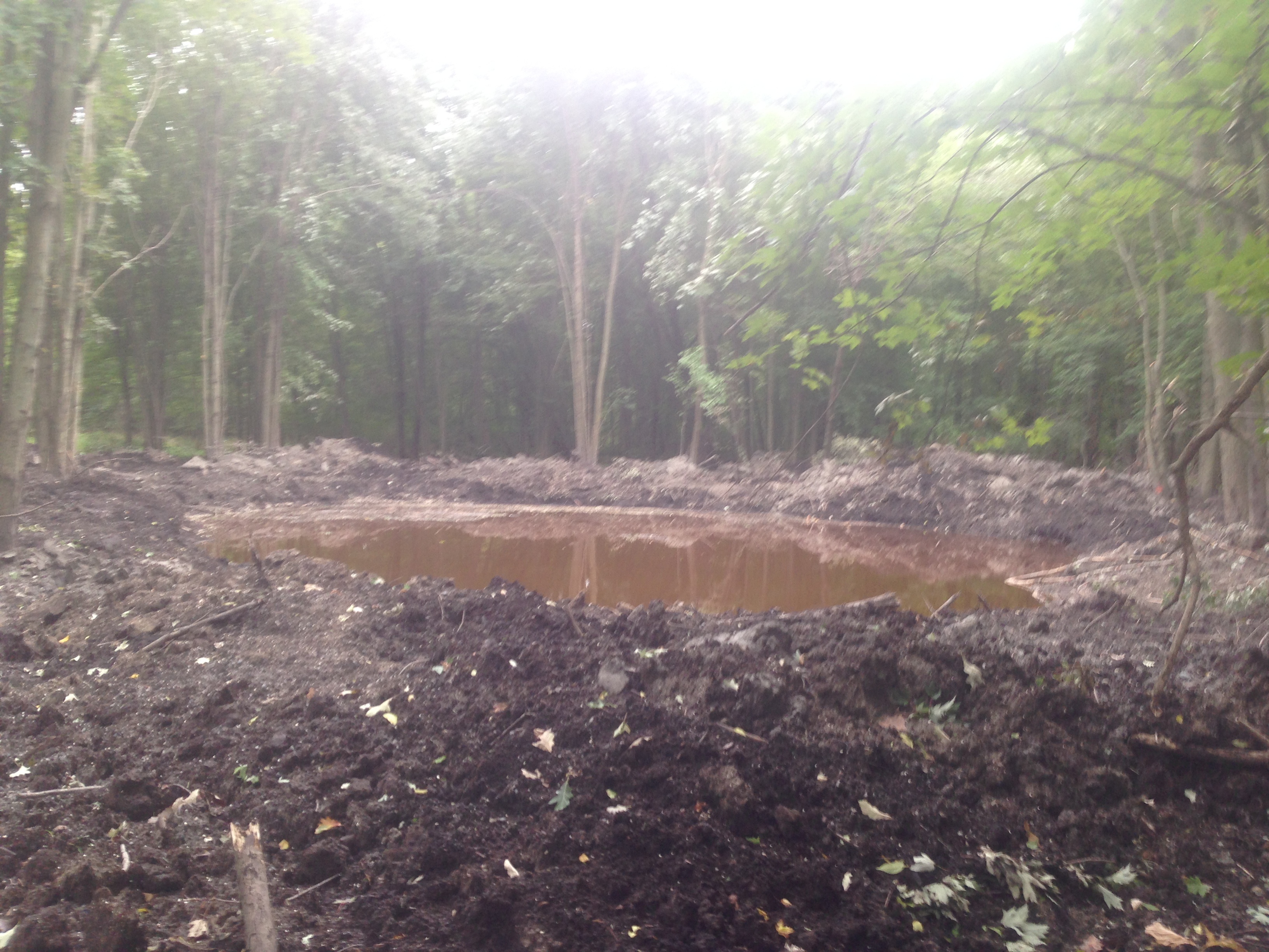 Digging_a_pond_in_the_wetlands_Michigan__4.jpg