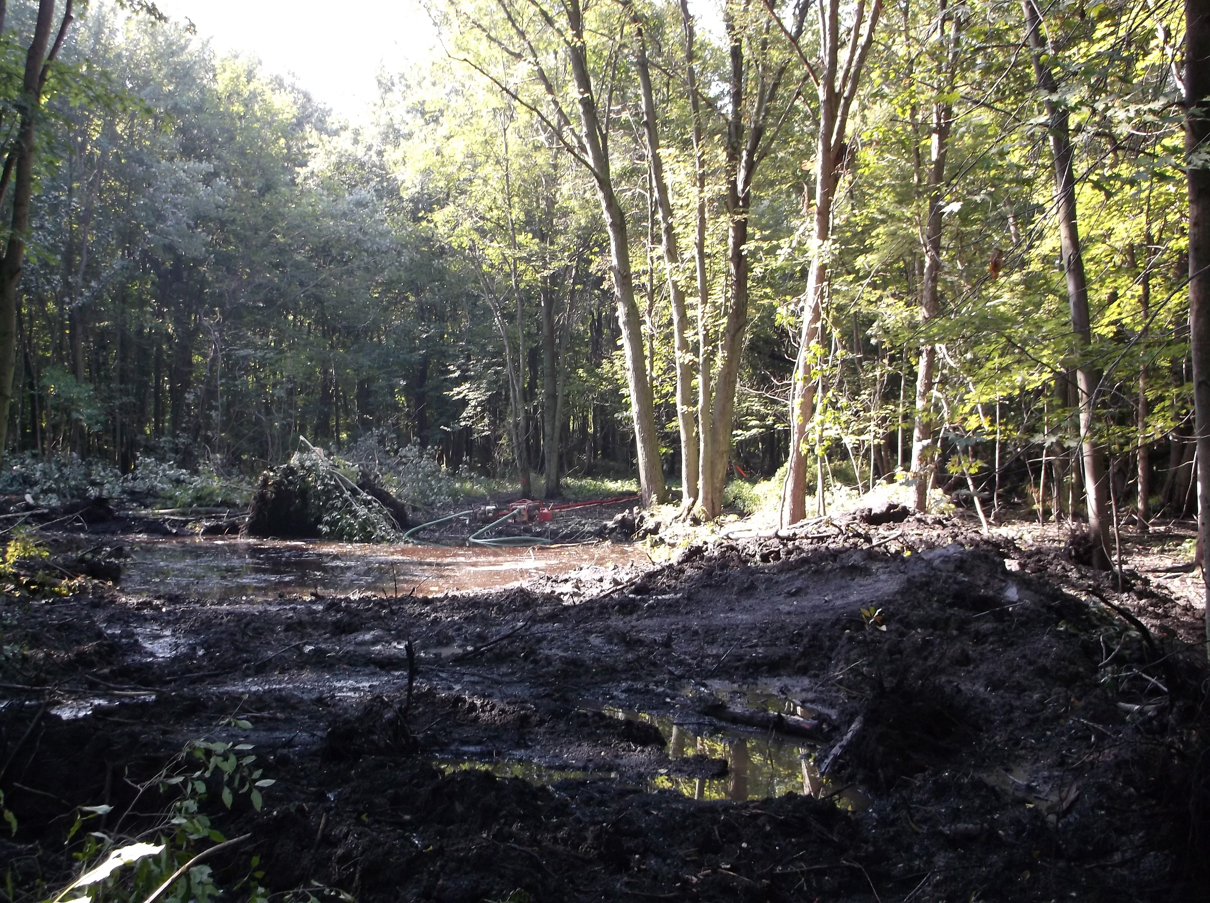 Digging_a_pond_in_the_wetlands_Michigan__8.jpg