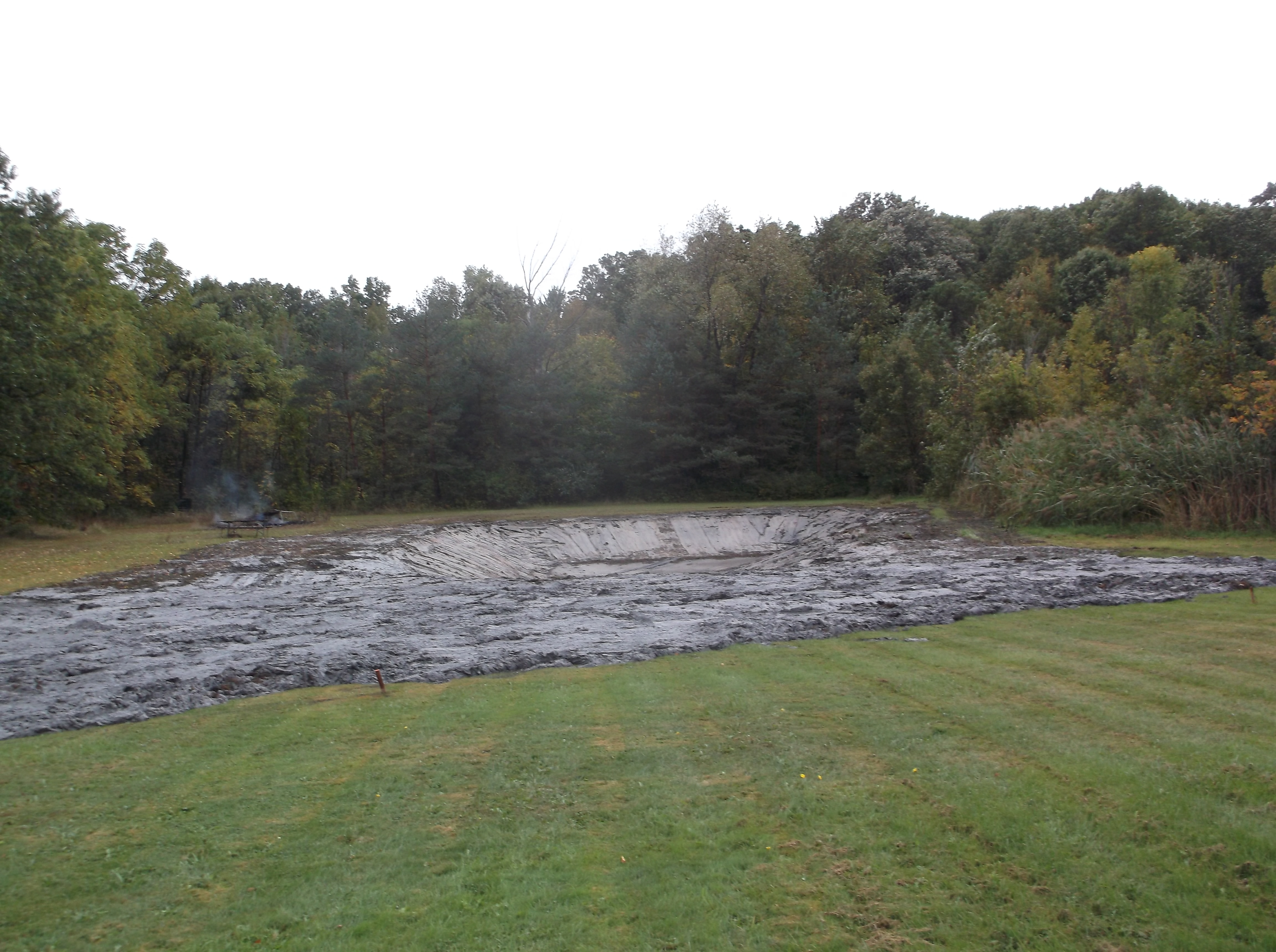 Dying pond restoration Michigan (26).jpg