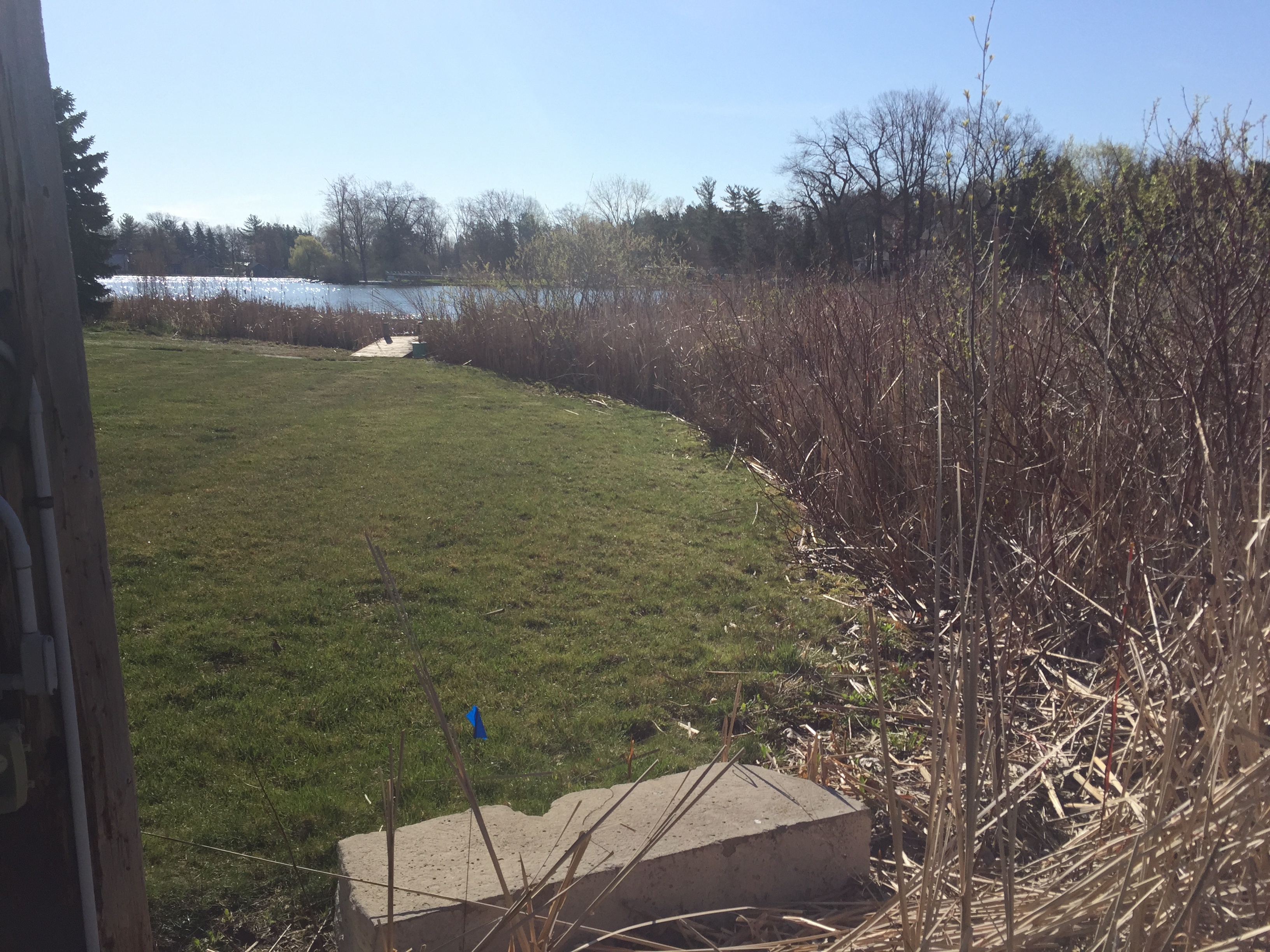 Fenton, Michigan lake front dredge  (89).jpg