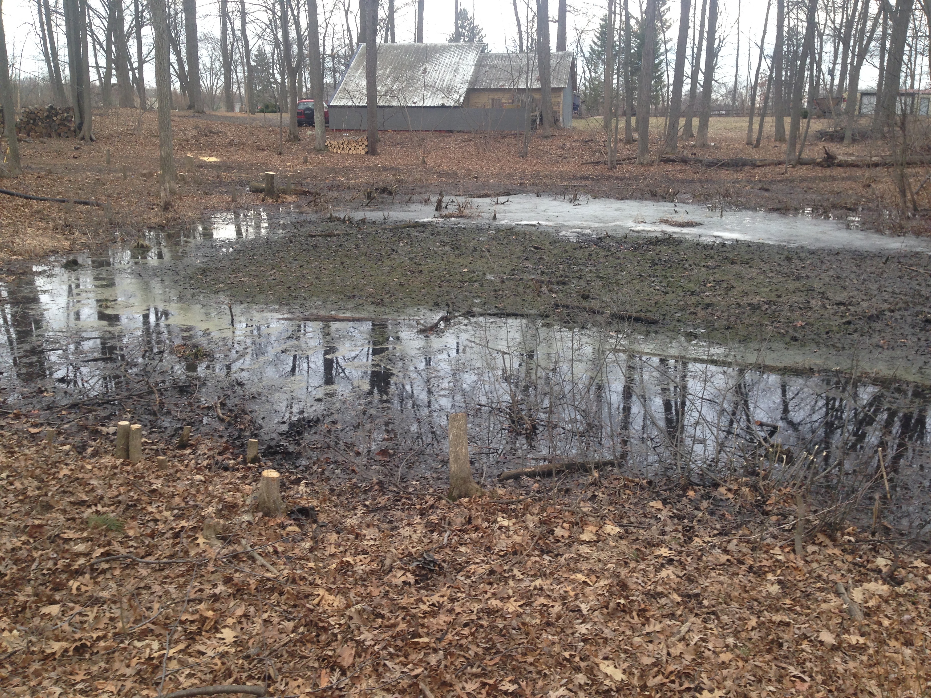 Hartland_MI_Barrow_pit_pond_renovation_5.jpg