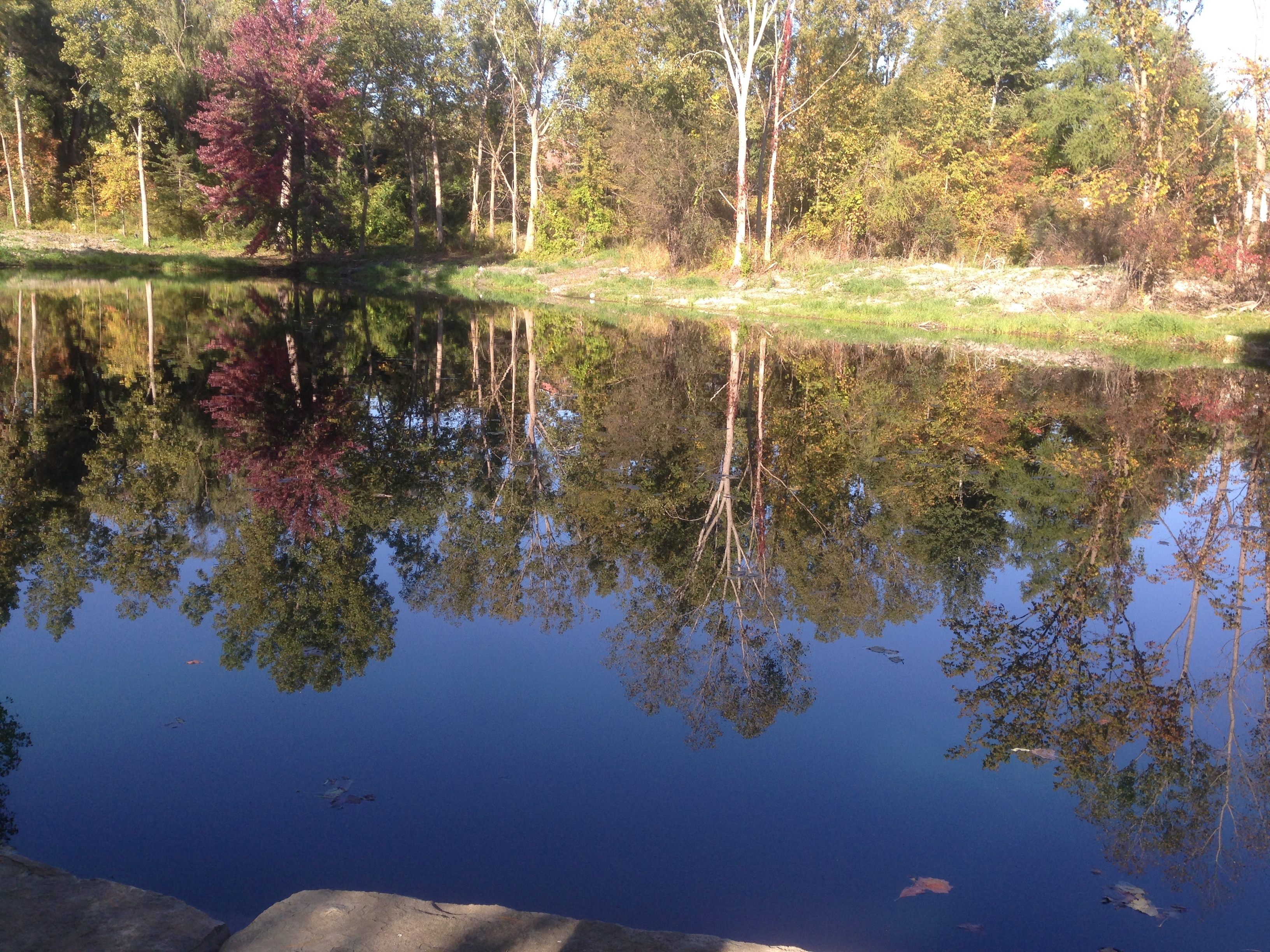 Hartland_Michigan_Pond_Longreach_excavation_37-1.jpg