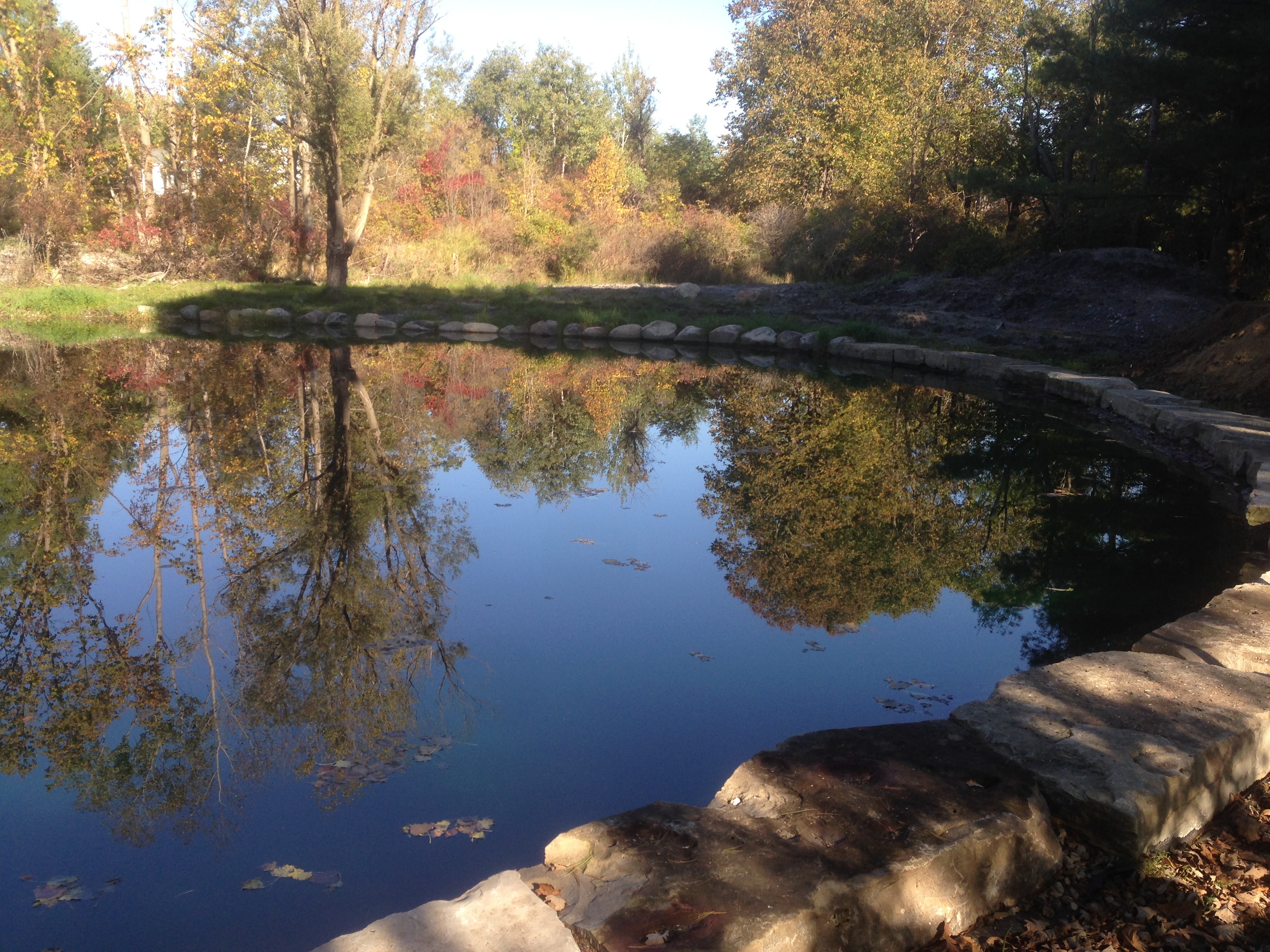 Hartland_Michigan_Pond_Longreach_excavation_38.jpg