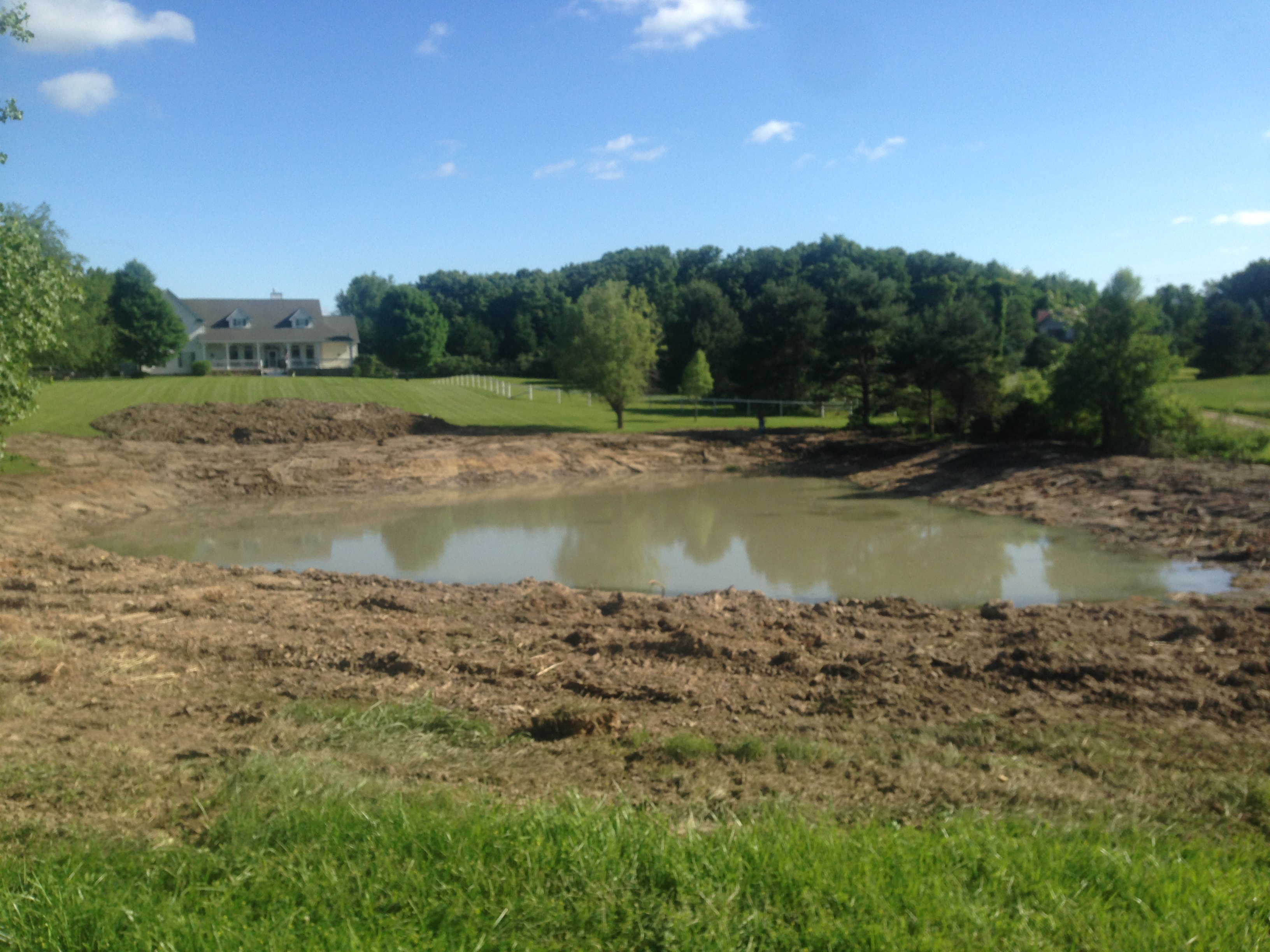 Pond_Problems_Howell_Michigan_windmill_beach_2.jpg