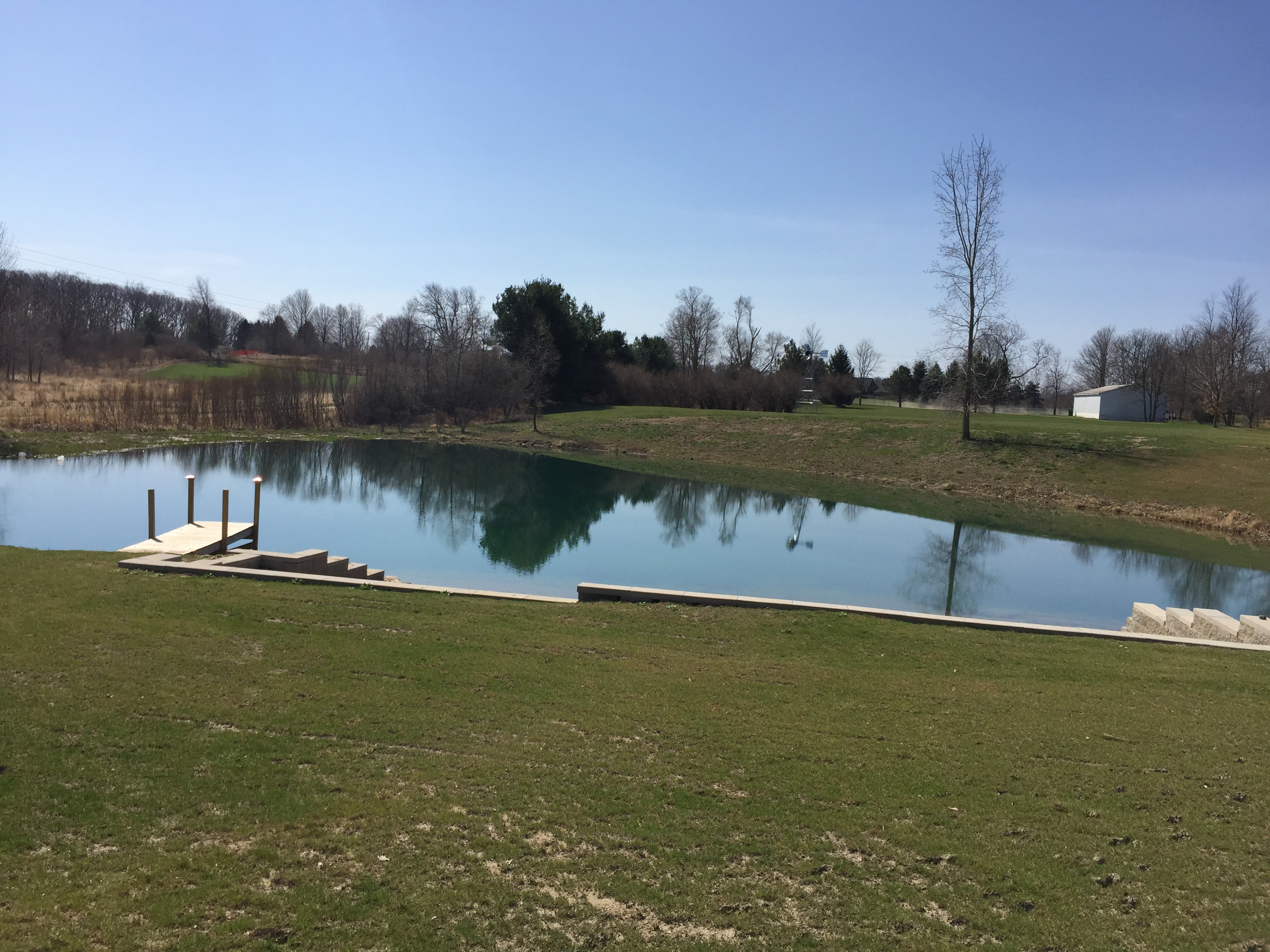 Pond_Problems_Howell_Michigan_windmill_beach_21.jpg