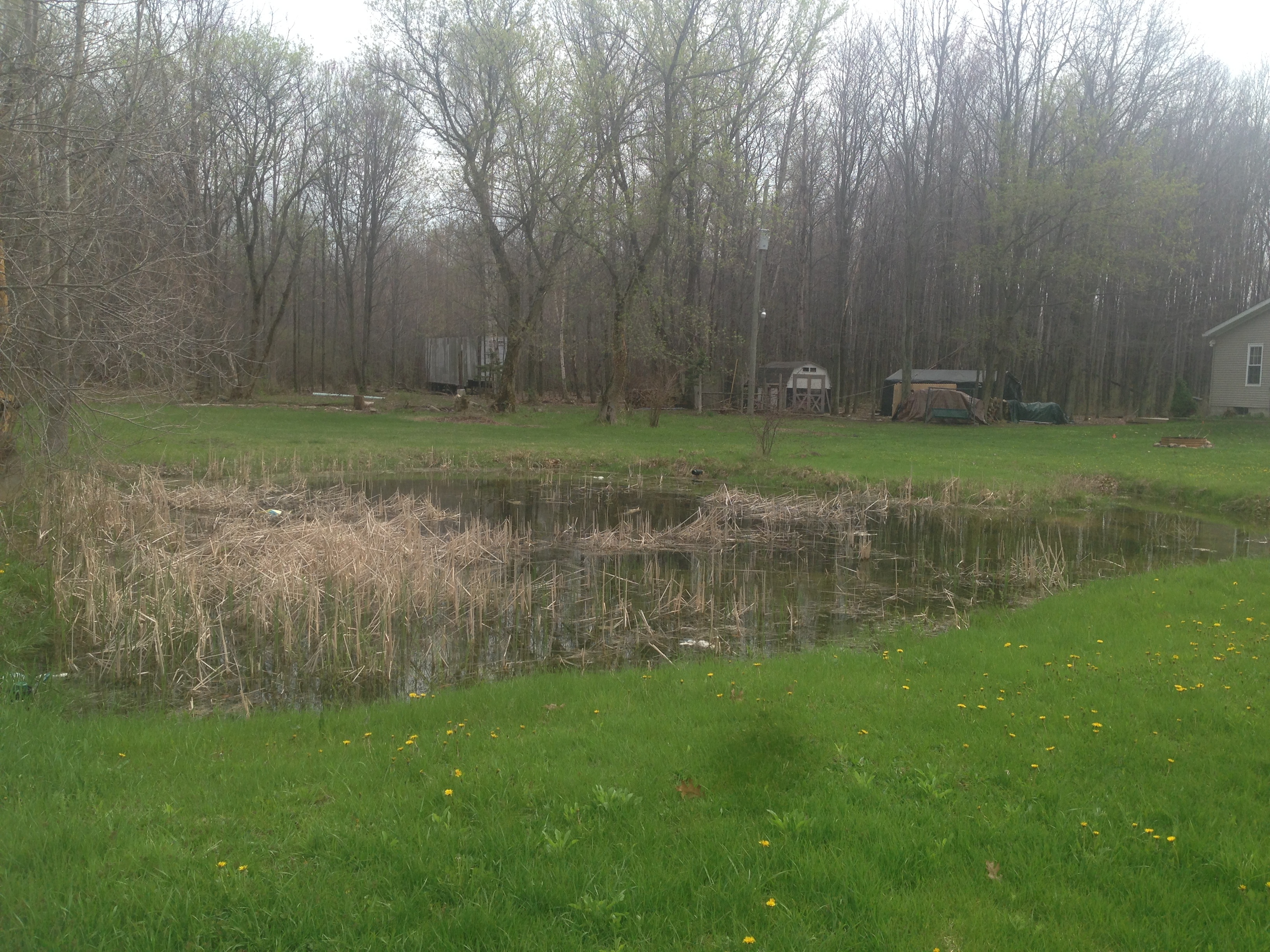 Pond_expansion_Michigan_Genesee_County_MI____________________.jpg