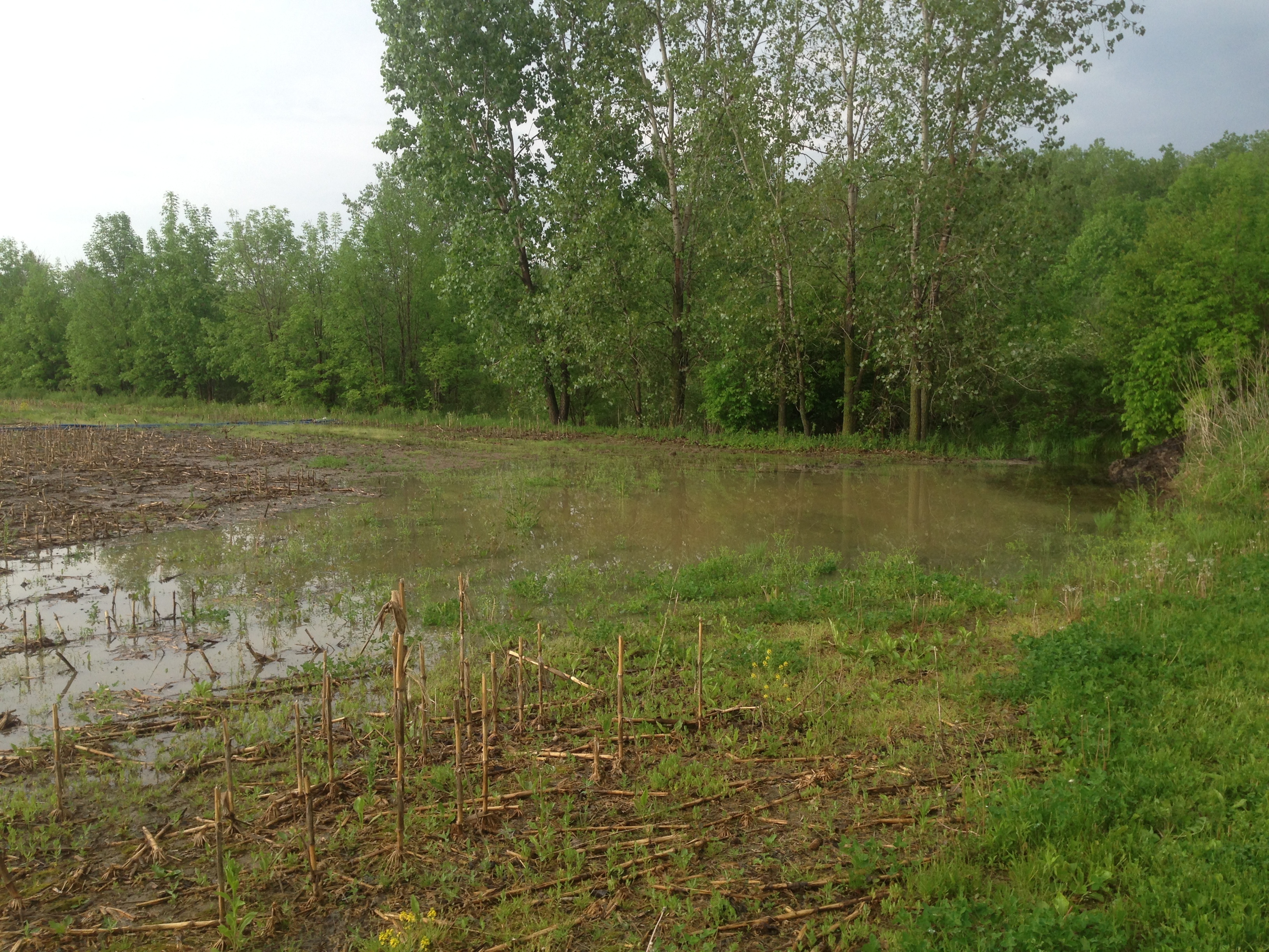 Pond_over_flow_pipe_repair__Michigan_Ray_Township_10.jpg