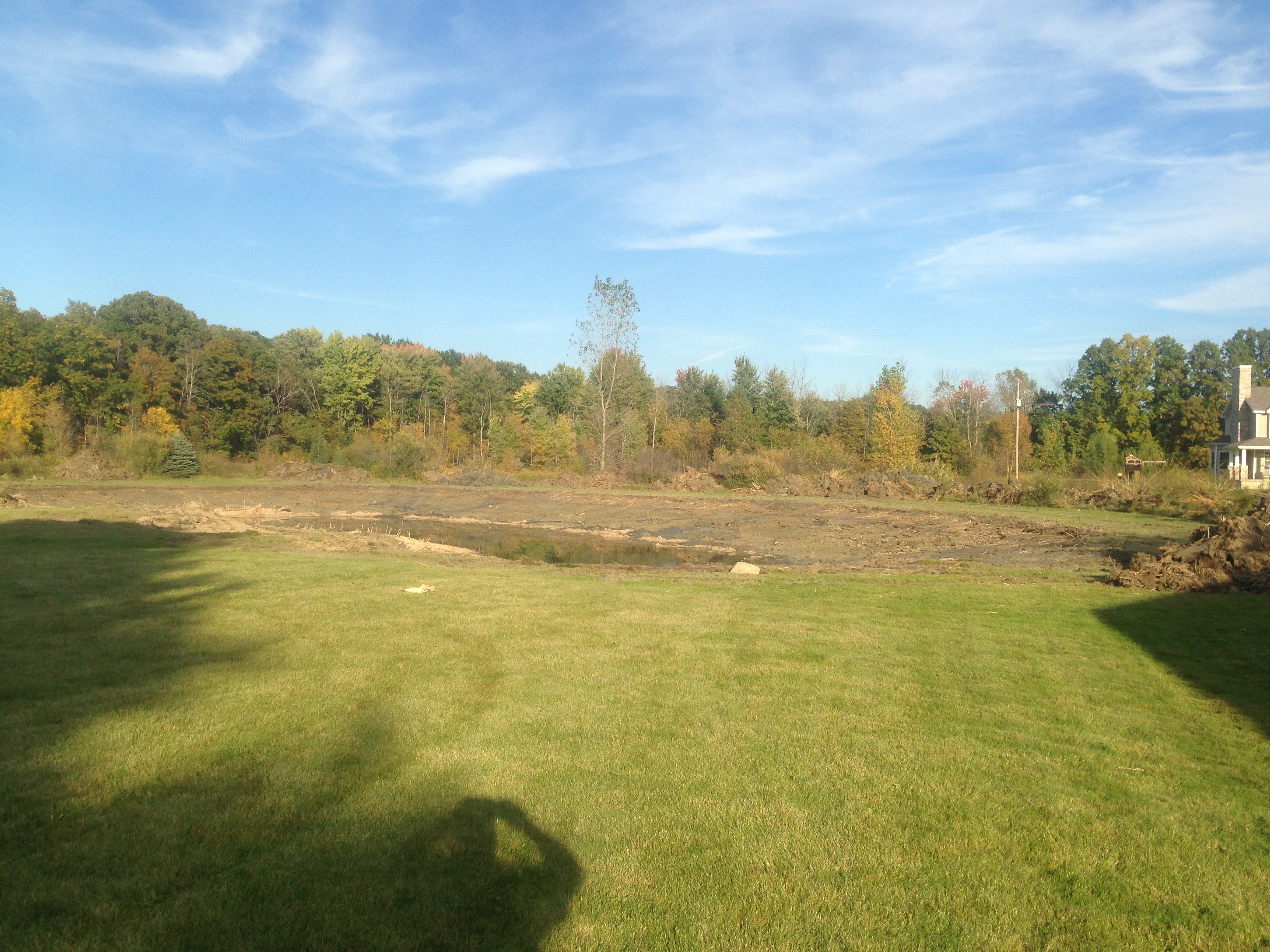 Pond_renovation_Abandoned_pond_Michigan.jpg