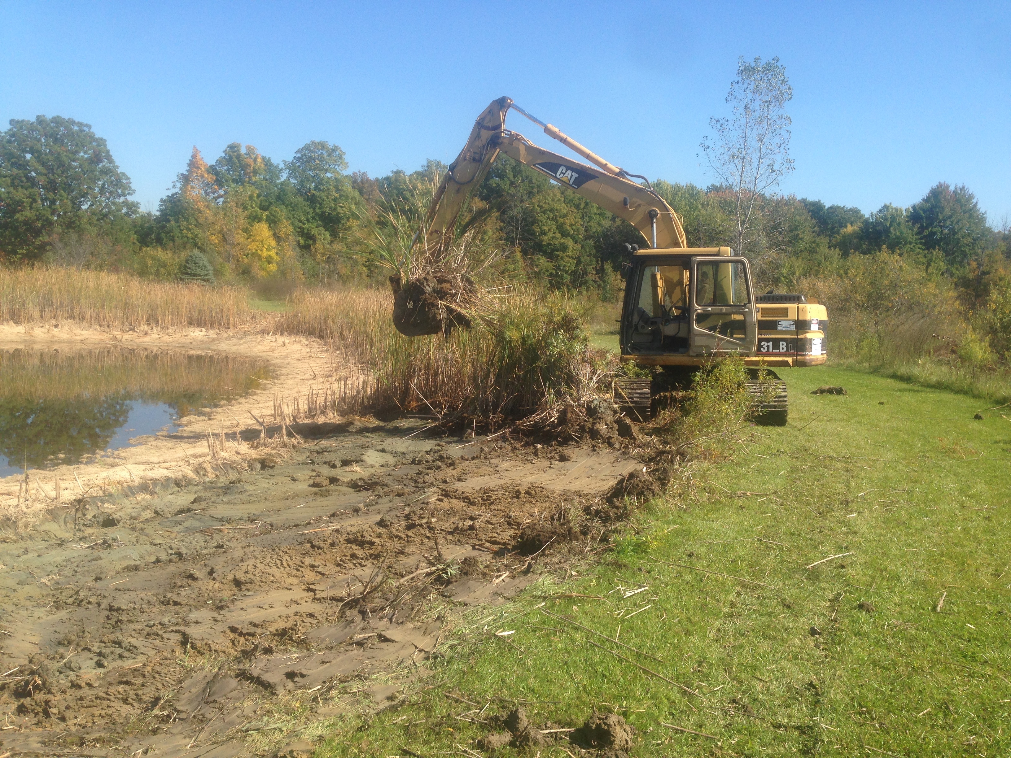 Pond_renovation_Abandoned_pond_Michigan_16.jpg