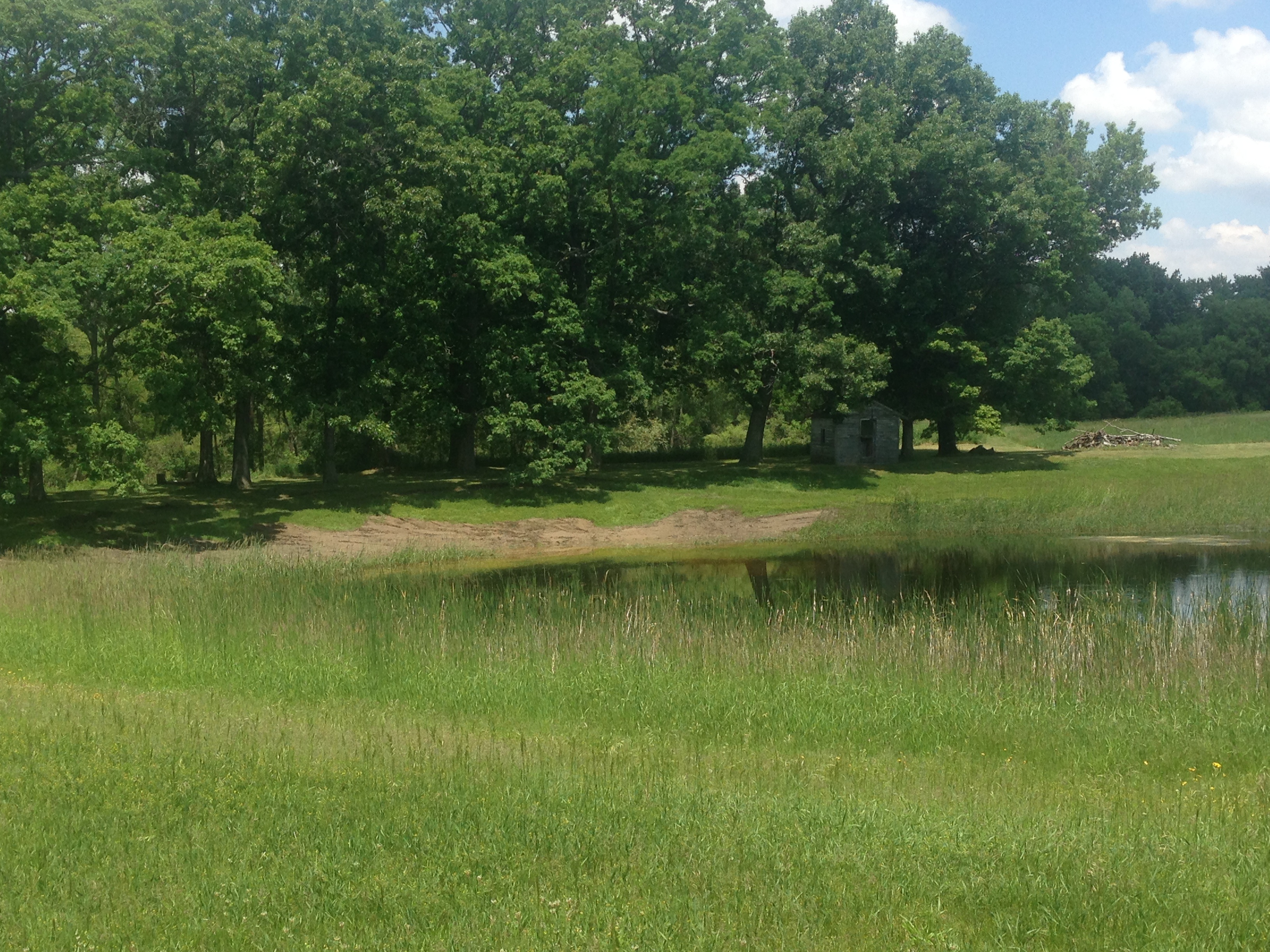 Pond_repair_Michigan_18.jpg