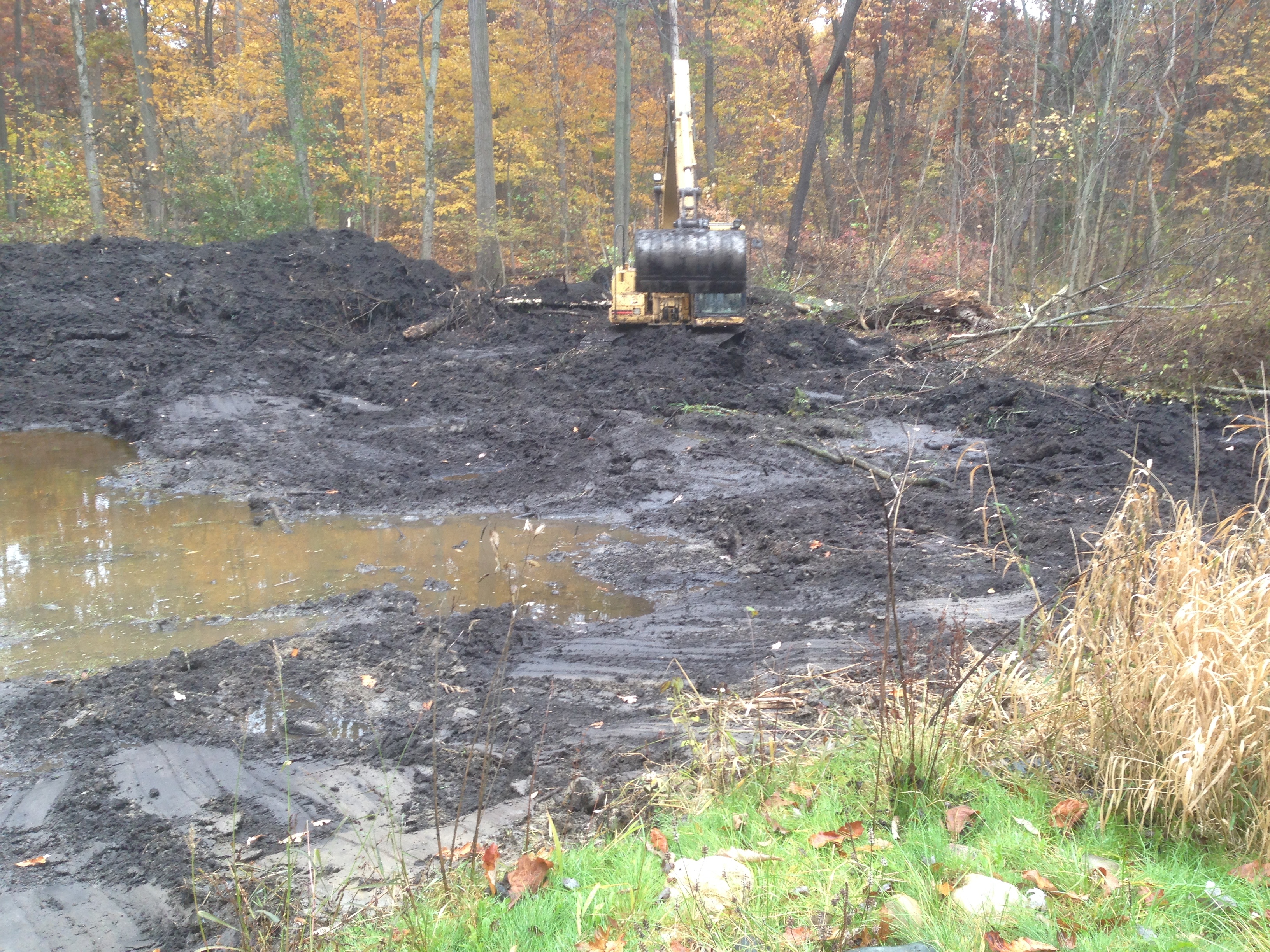 Pond_restoration_Novi_Michigan__18.jpg