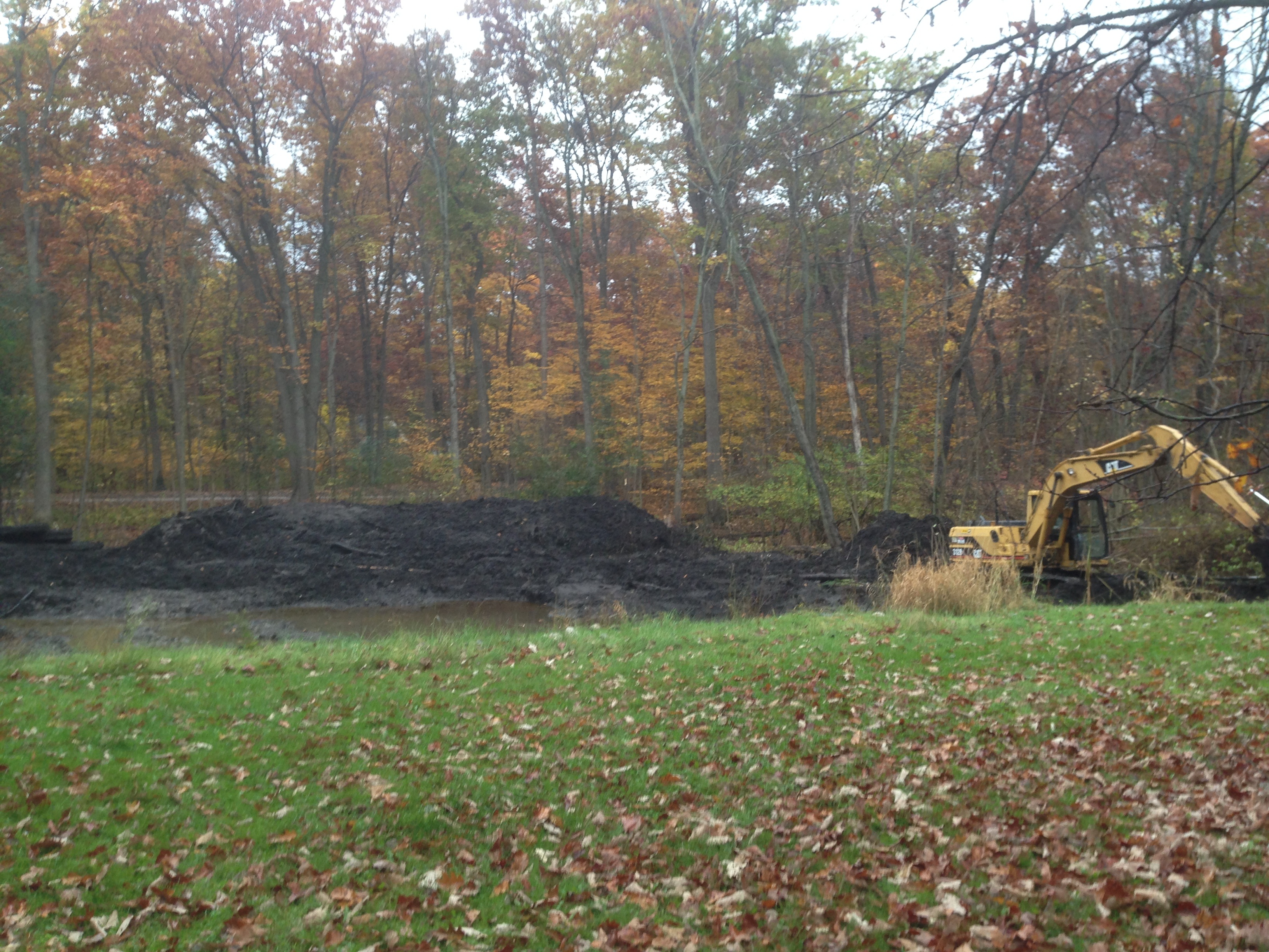 Pond_restoration_Novi_Michigan__20.jpg