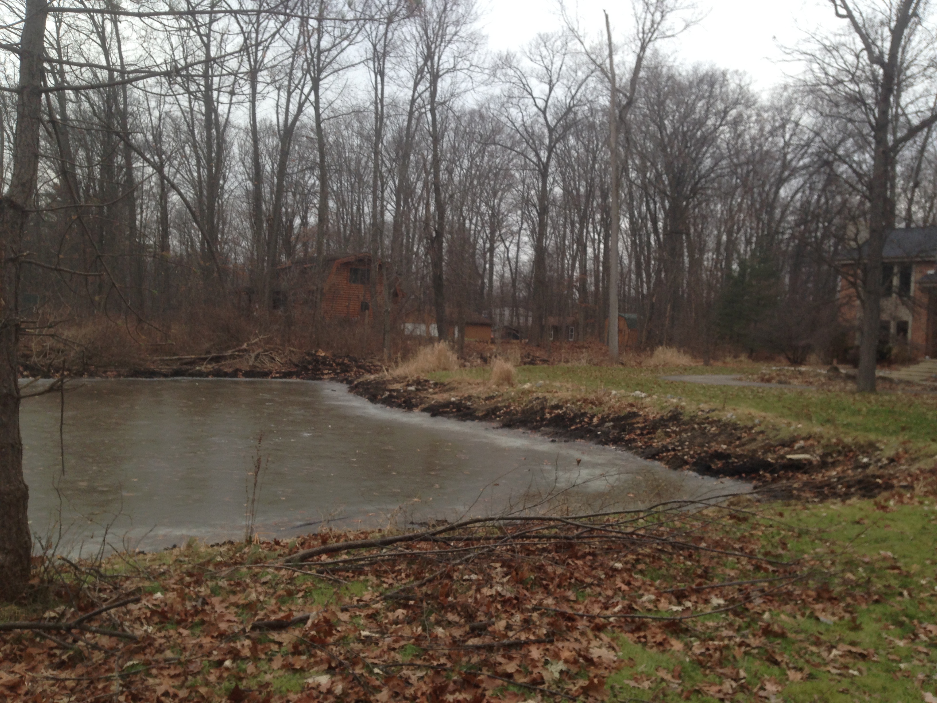 Pond_restoration_Novi_Michigan__37.jpg