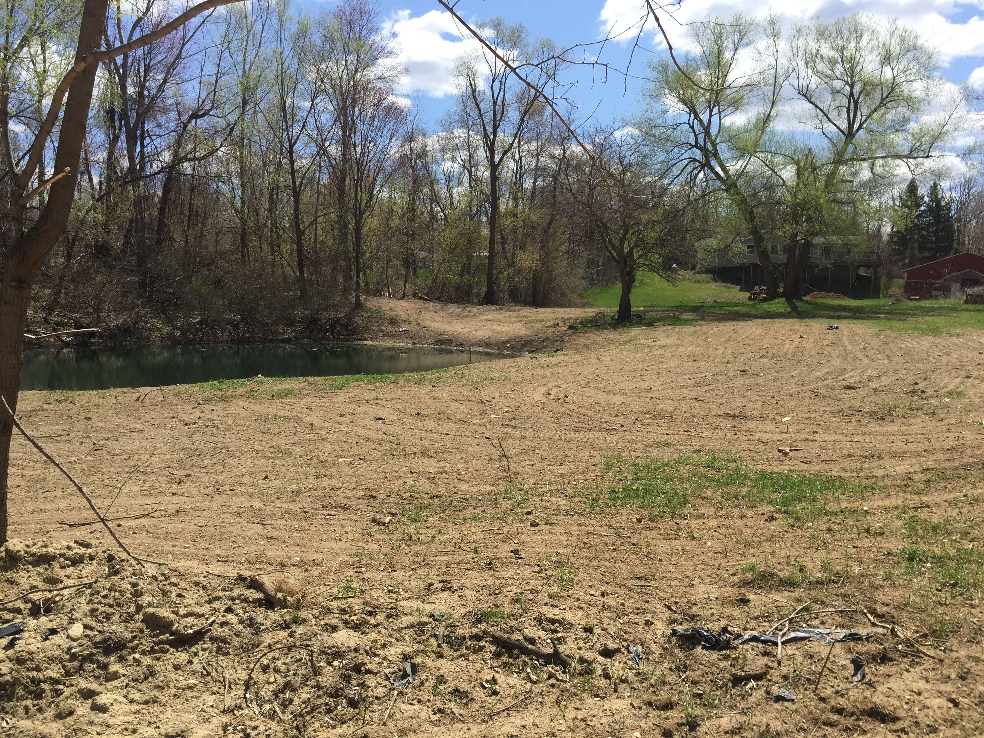 Pond_silted_in_dug_out_Metamora_Michigan.jpg