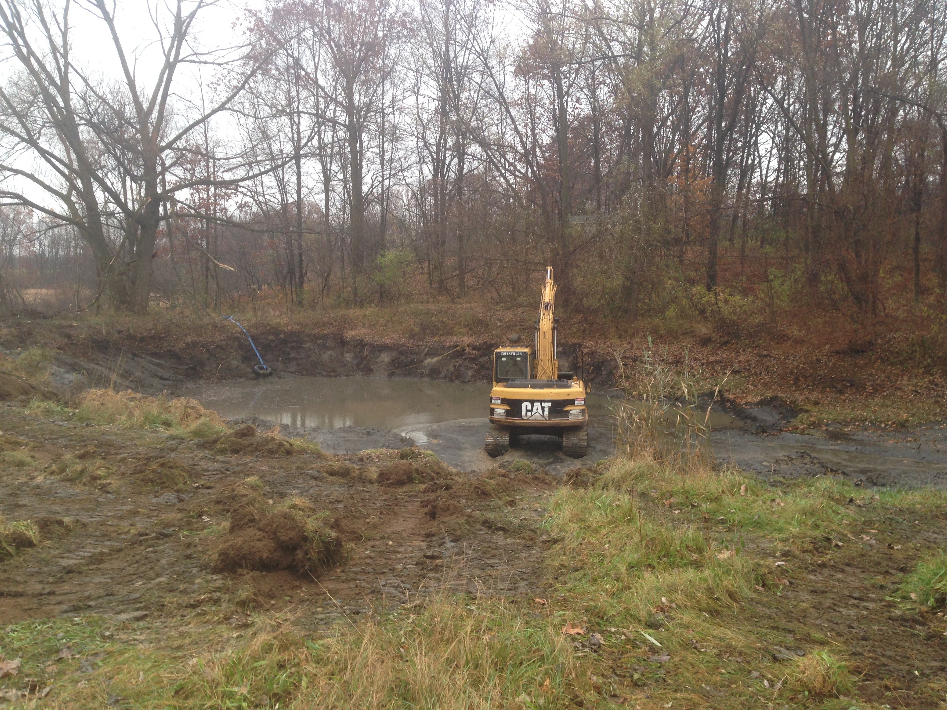 Pond_silted_in_dug_out_Metamora_Michigan_12.jpg