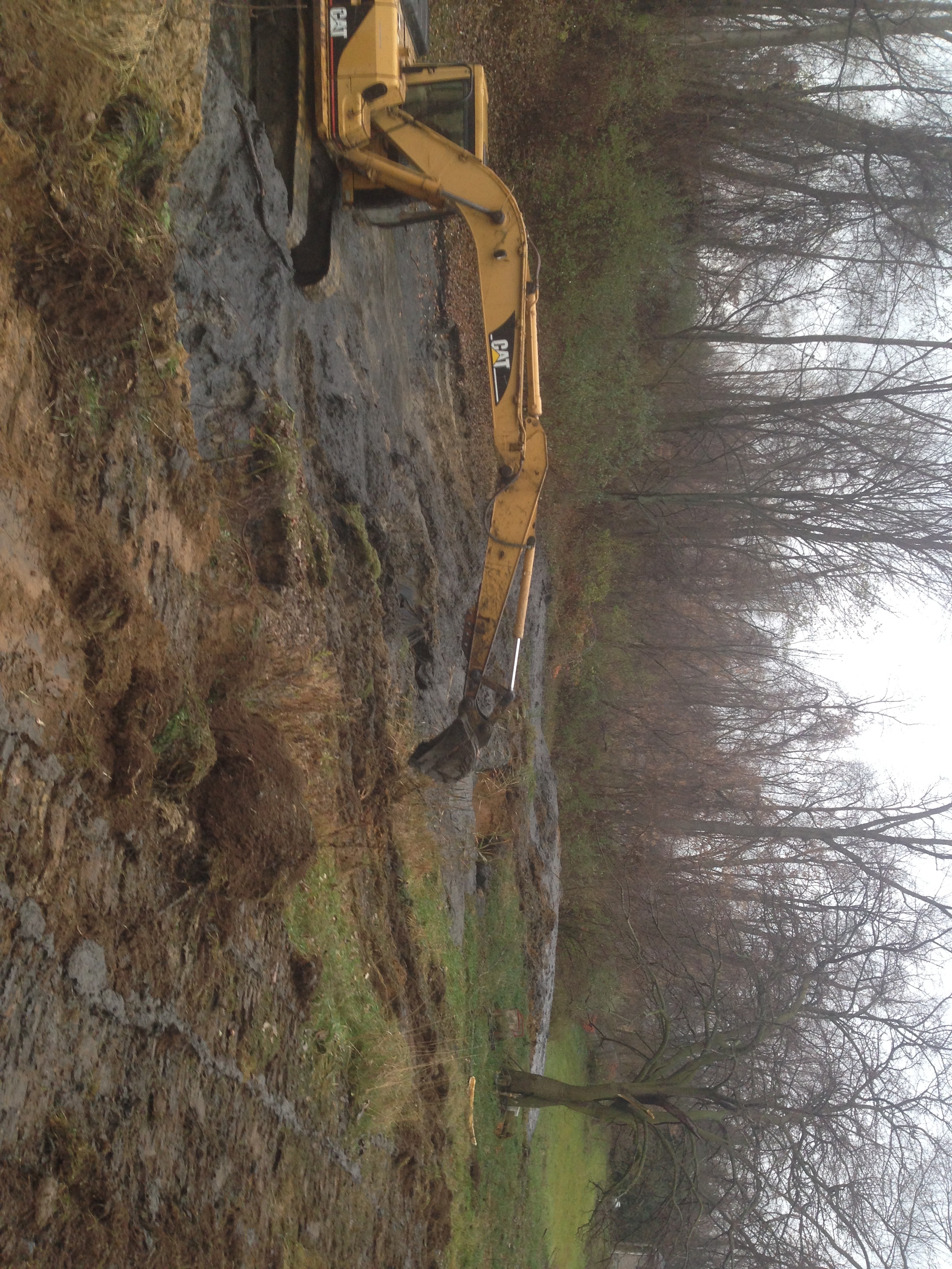 Pond_silted_in_dug_out_Metamora_Michigan_14.jpg