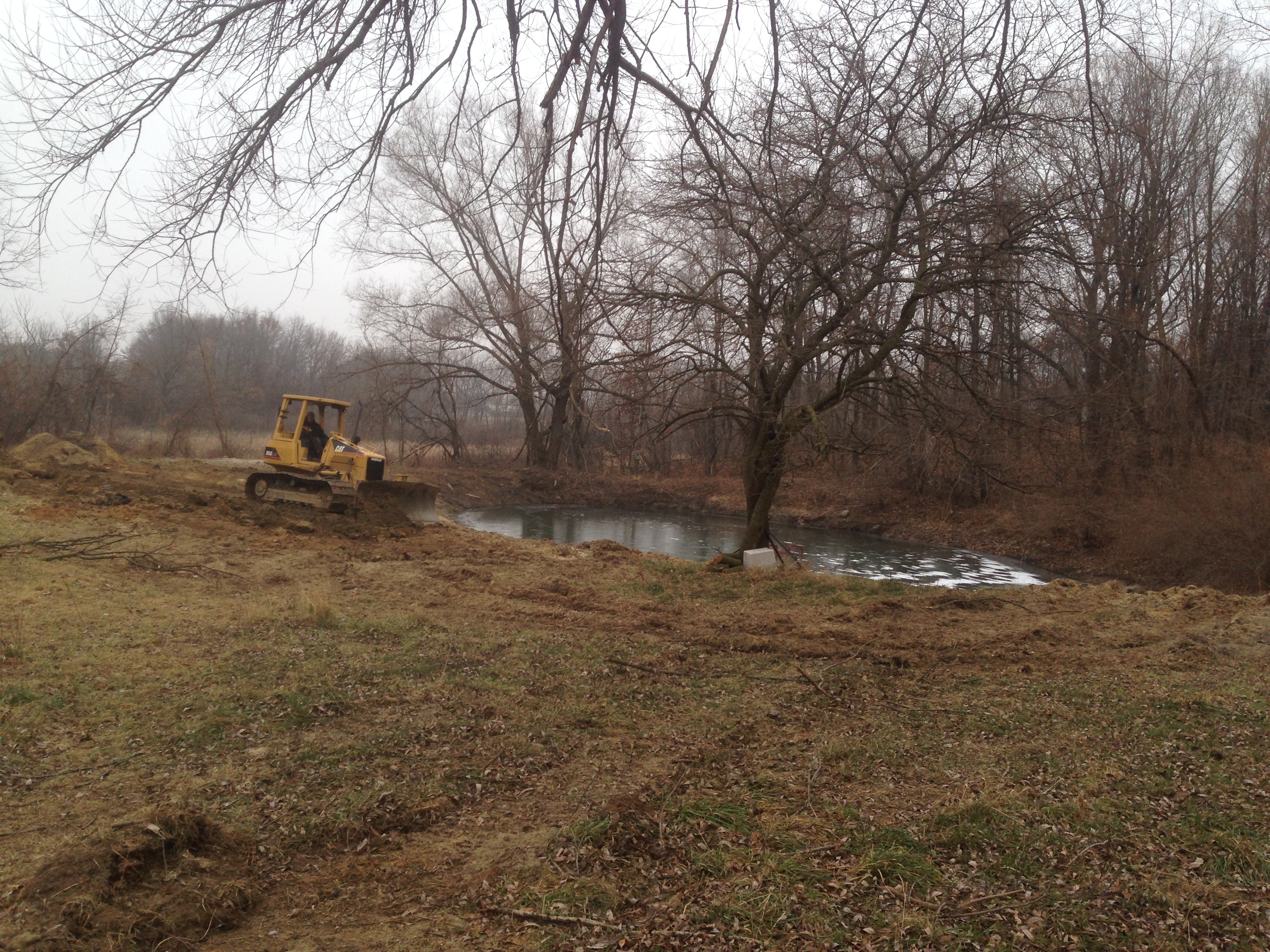 Pond_silted_in_dug_out_Metamora_Michigan_2.jpg