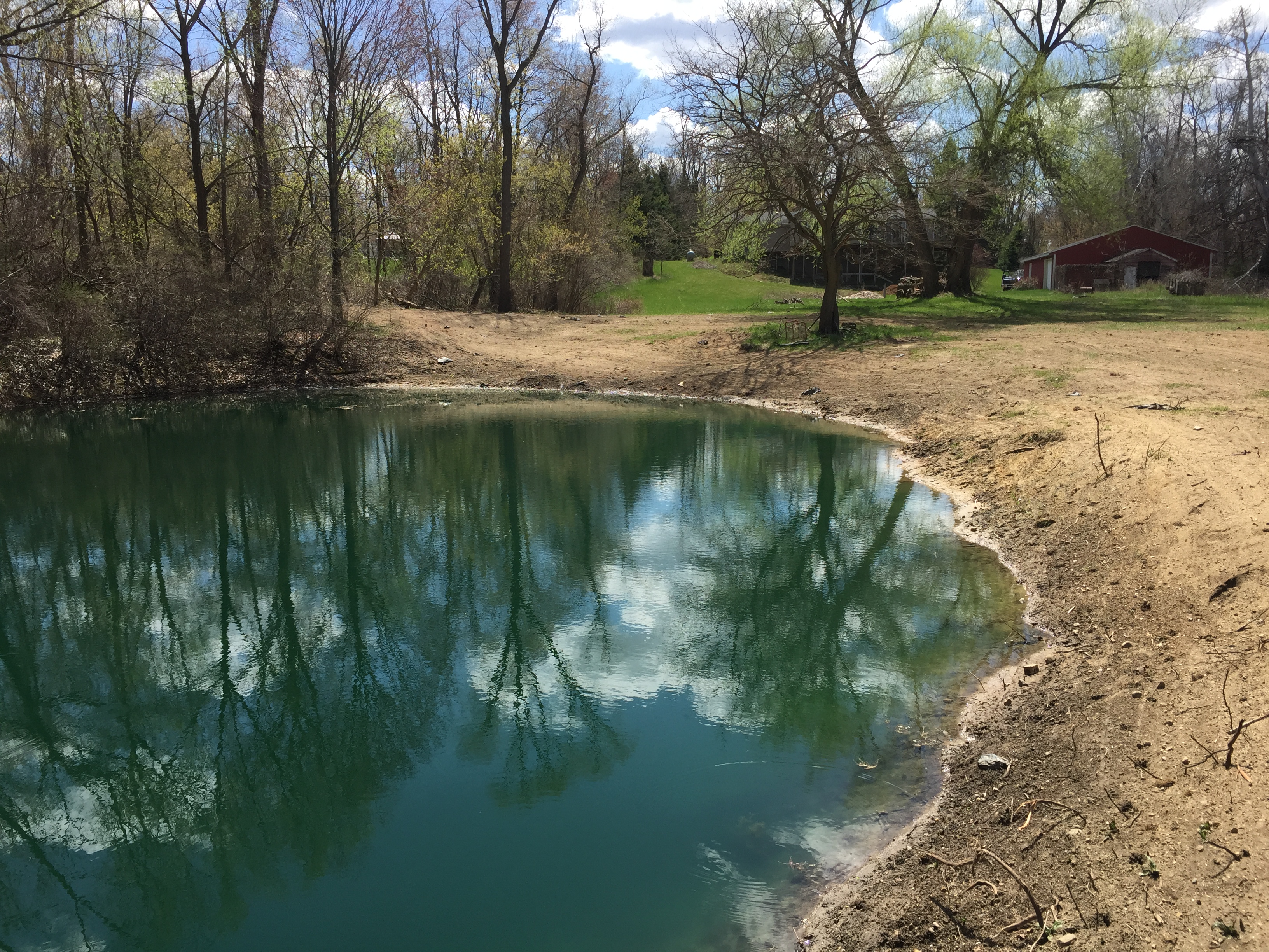 Pond_silted_in_dug_out_Metamora_Michigan_23.jpg