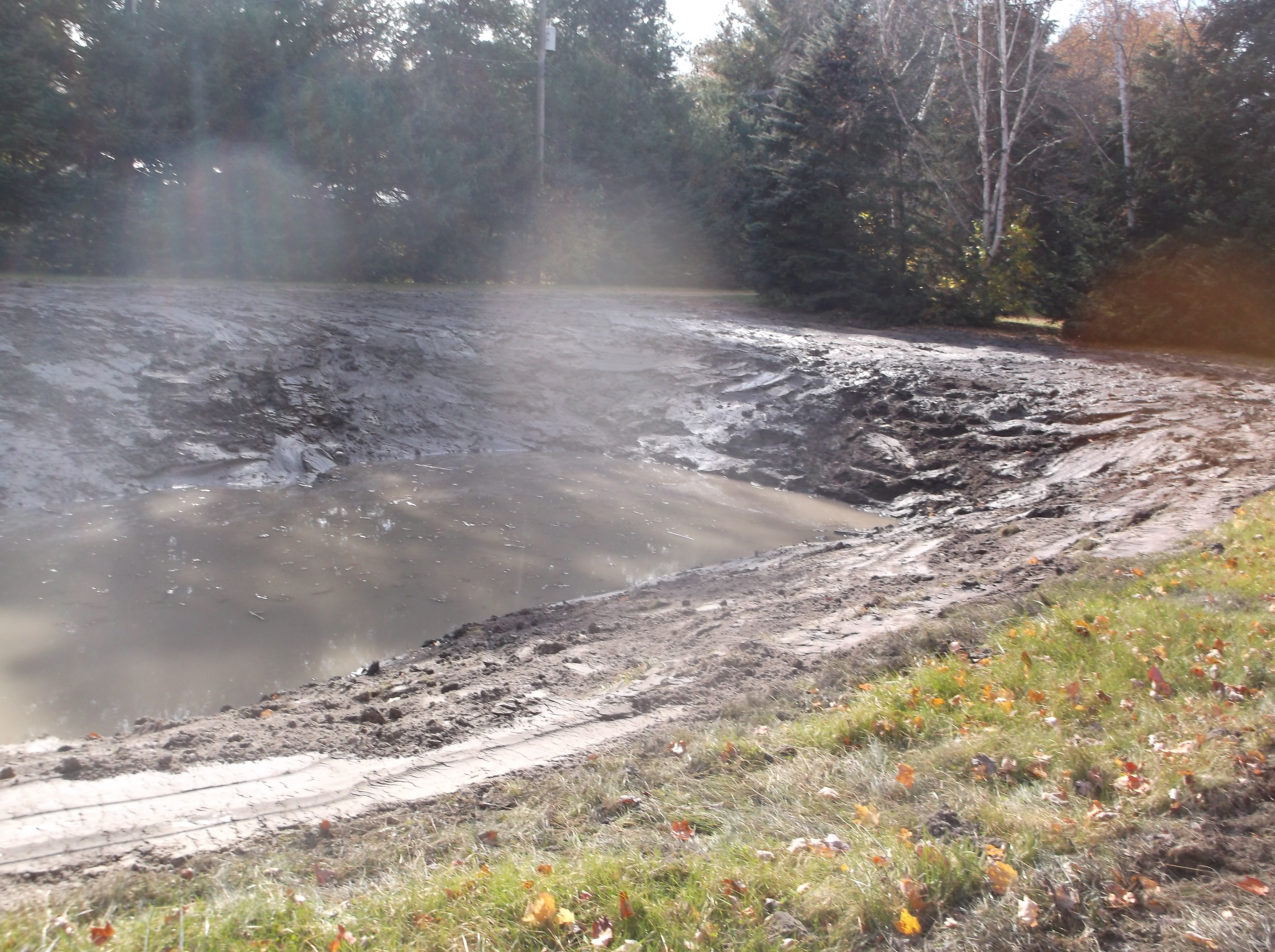 Rochester, Mi reduce size of pond  (12).jpg