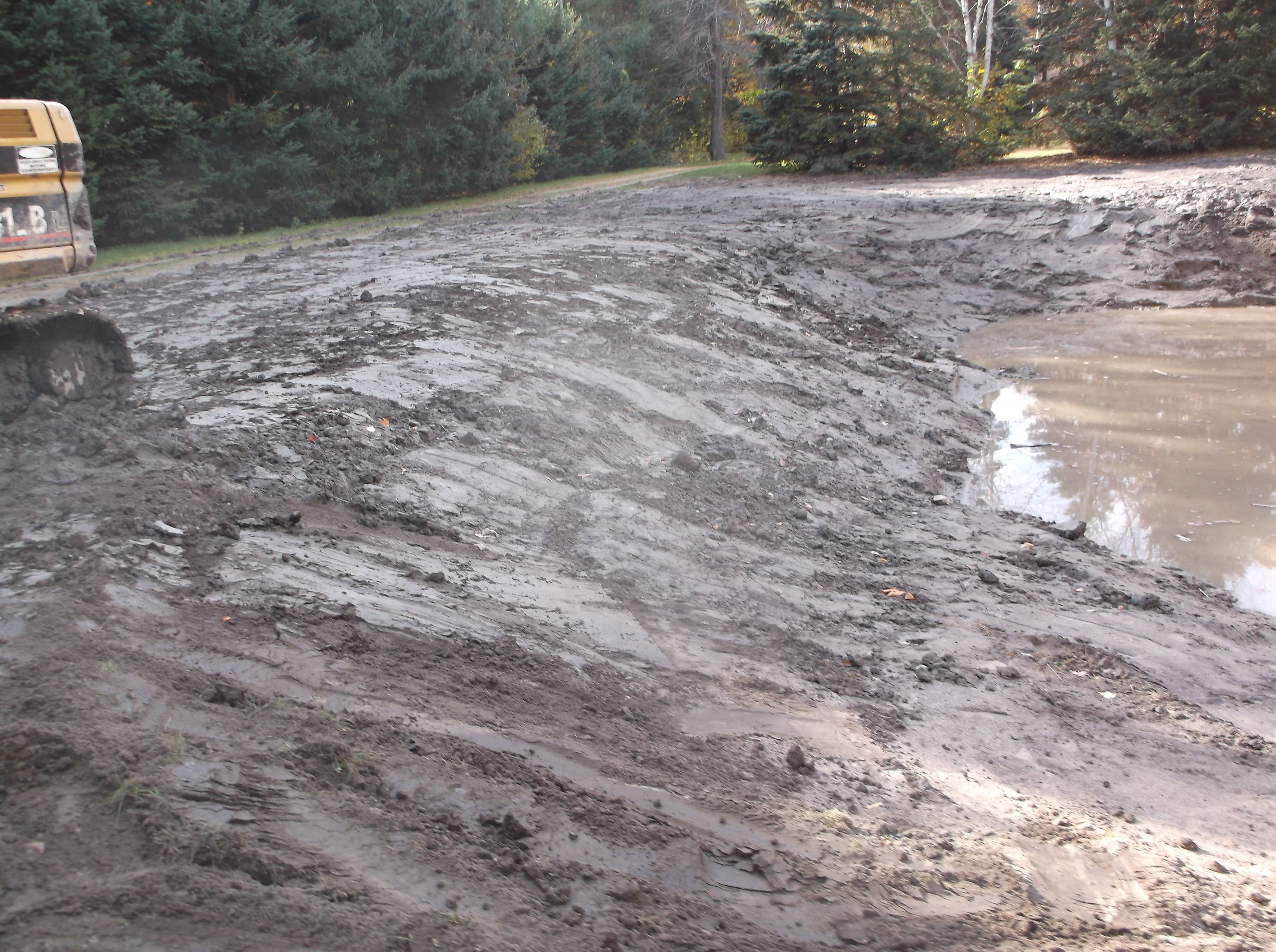 Rochester, Mi reduce size of pond  (9).jpg