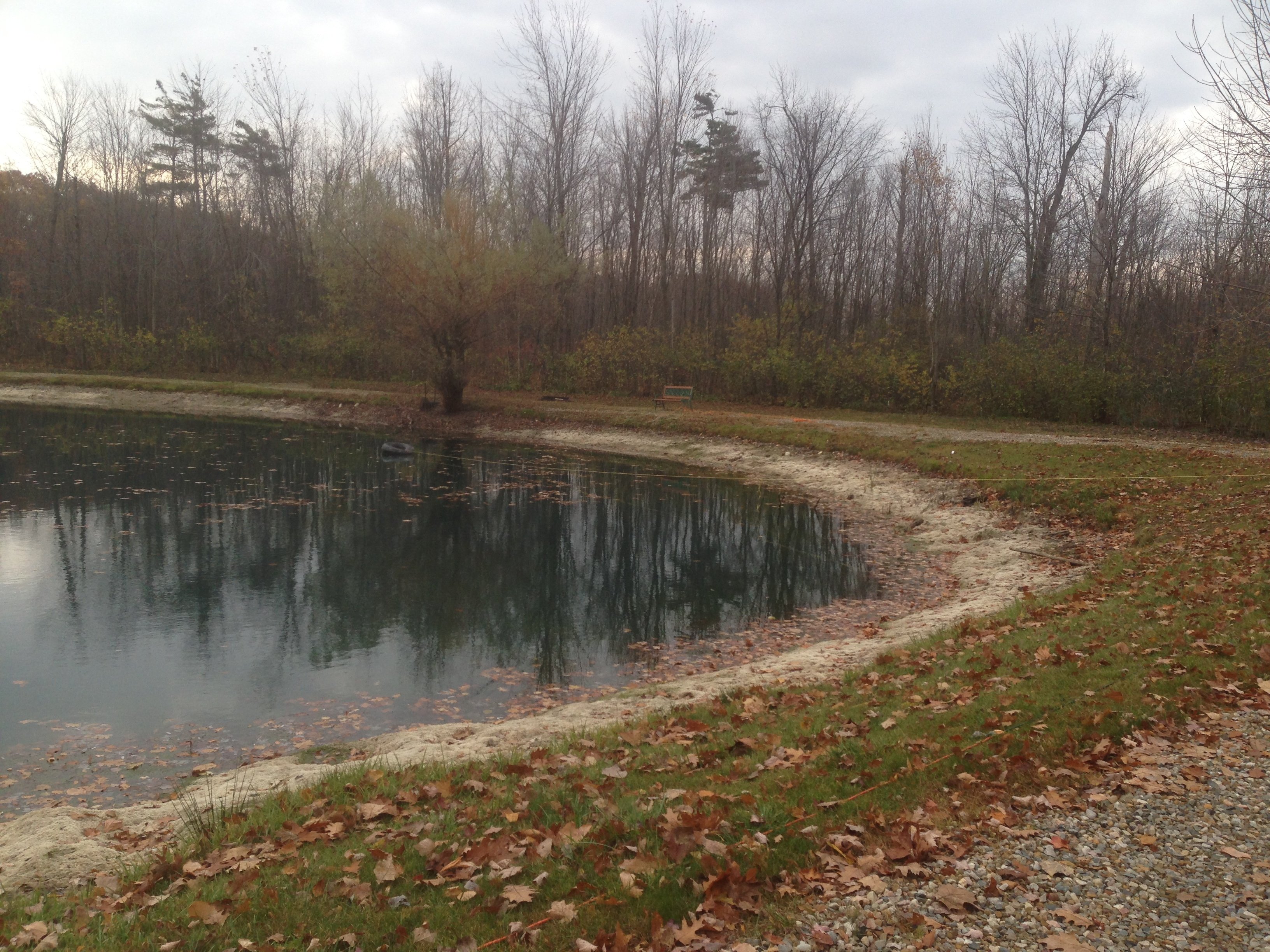 Rocks_around_pond_fix_pond_banks_Metamora_MI_3.jpg