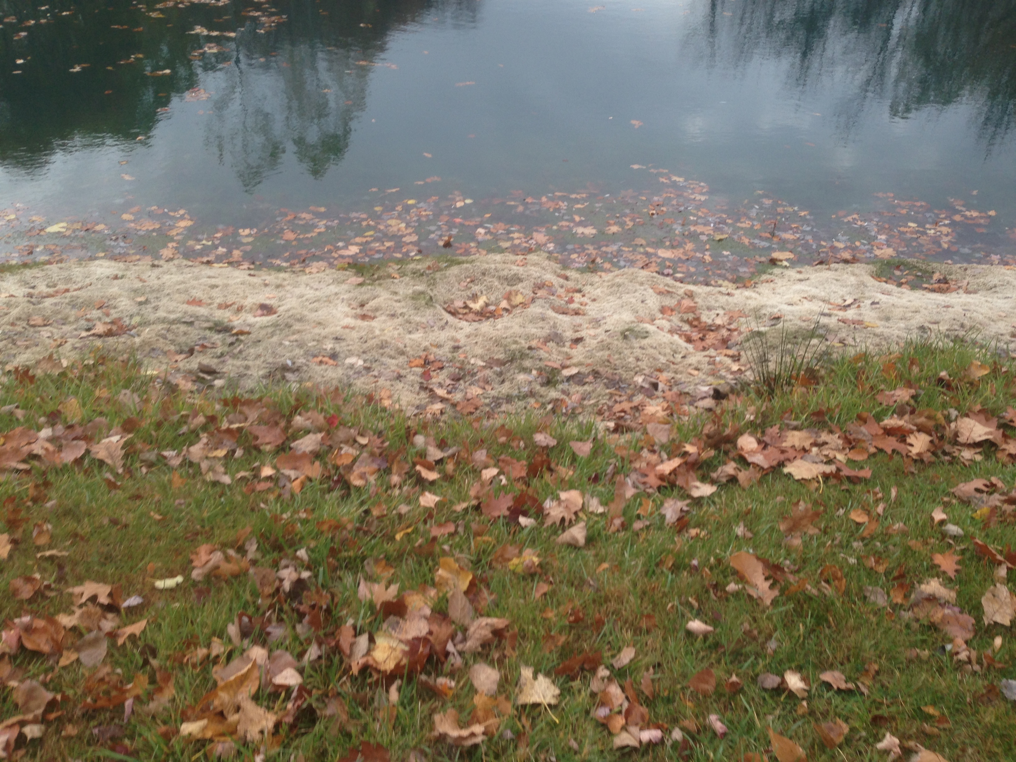 Rocks_around_pond_fix_pond_banks_Metamora_MI_7.jpg