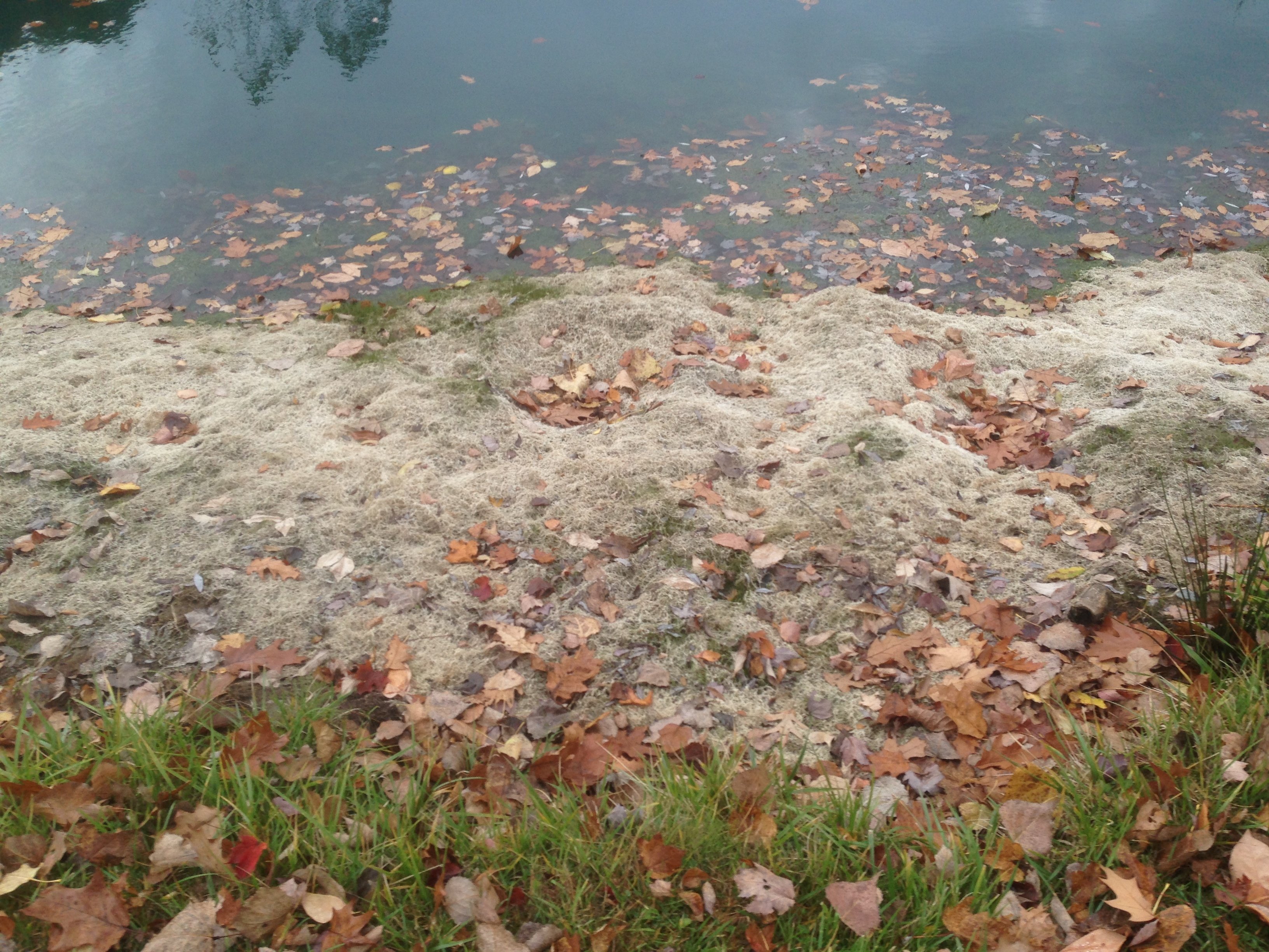 Rocks_around_pond_fix_pond_banks_Metamora_MI_8.jpg