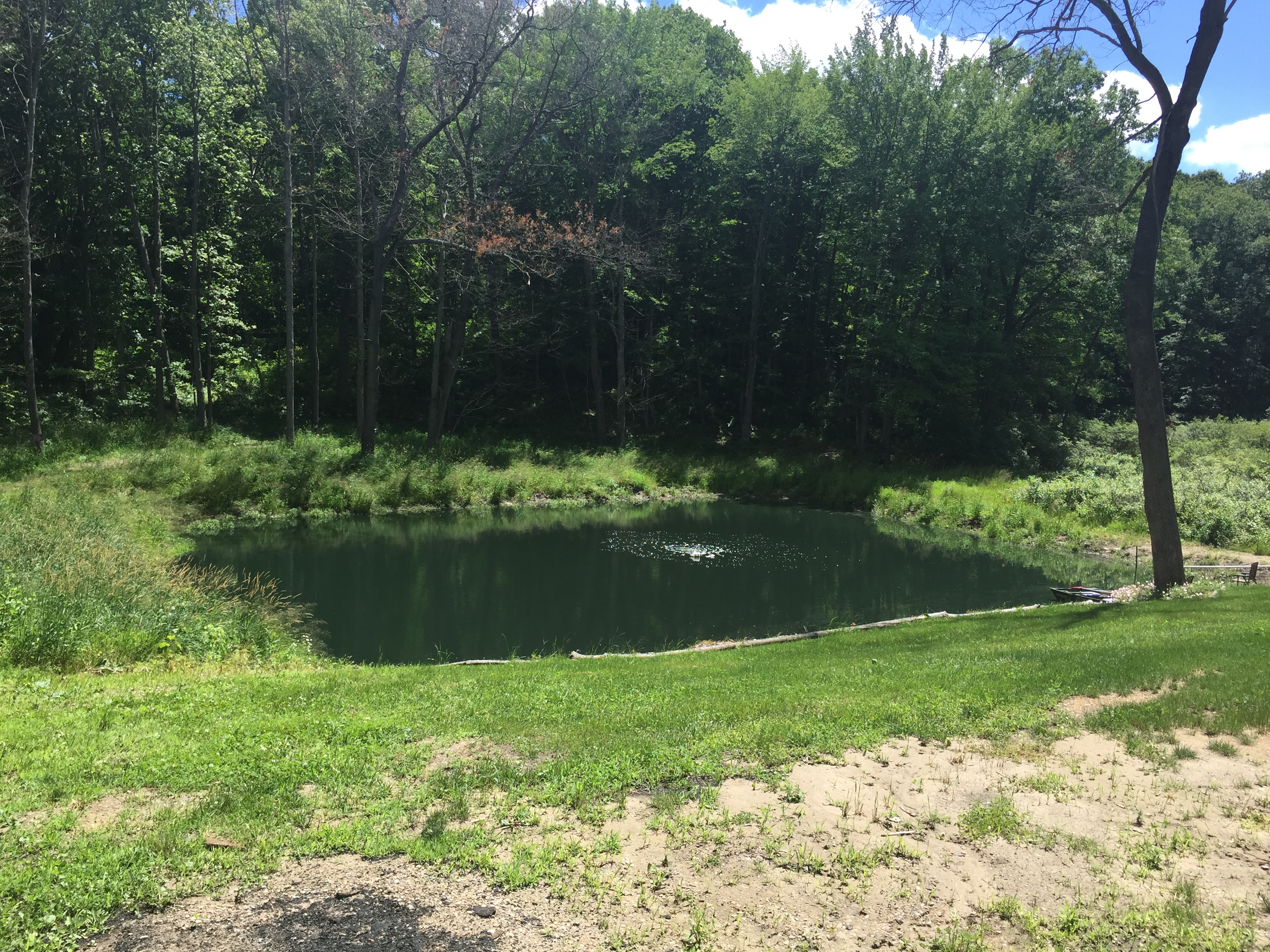 Wetland_pond_construction_Pinckney_Michigan_15.jpg